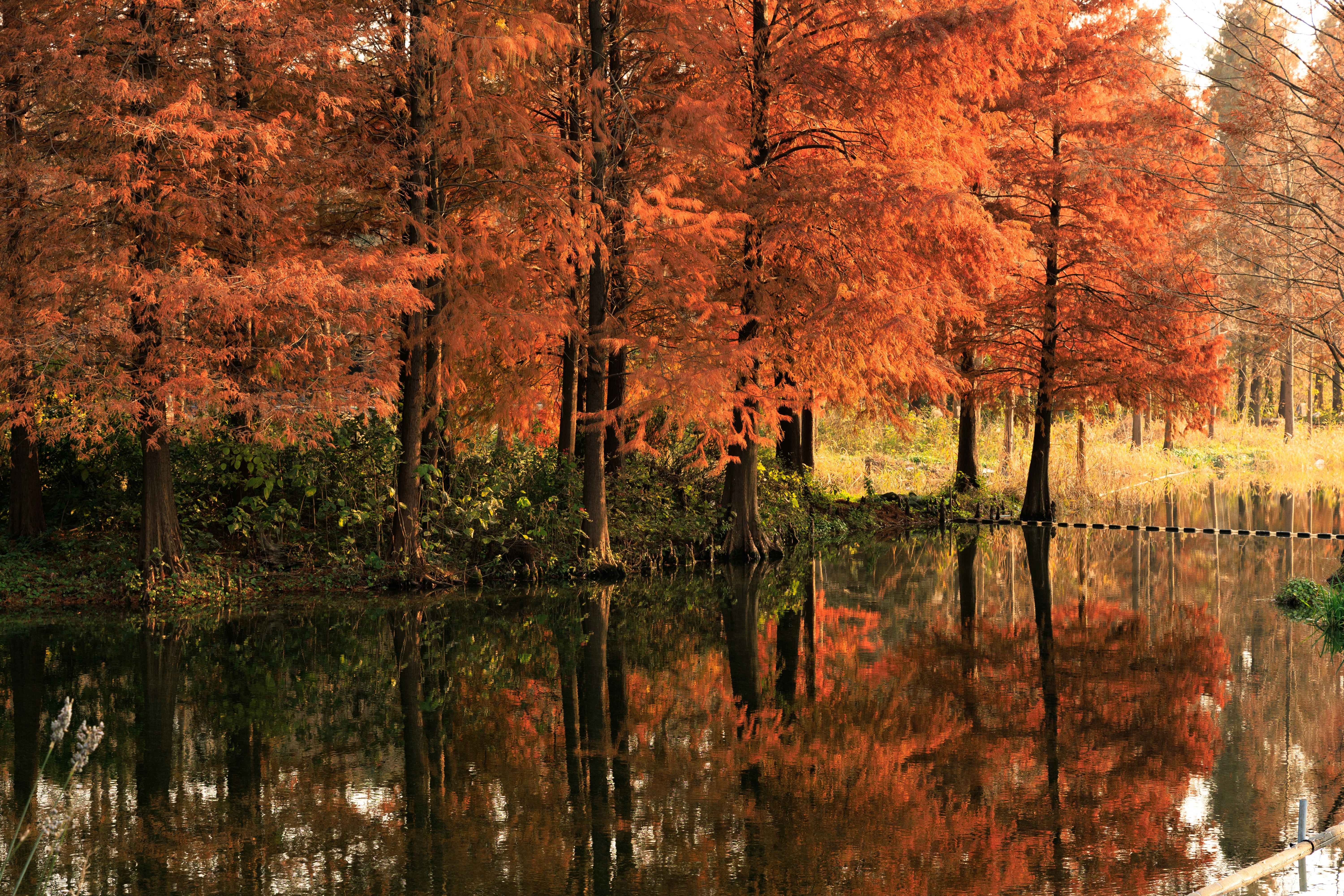 Photo by wenhao_ruan