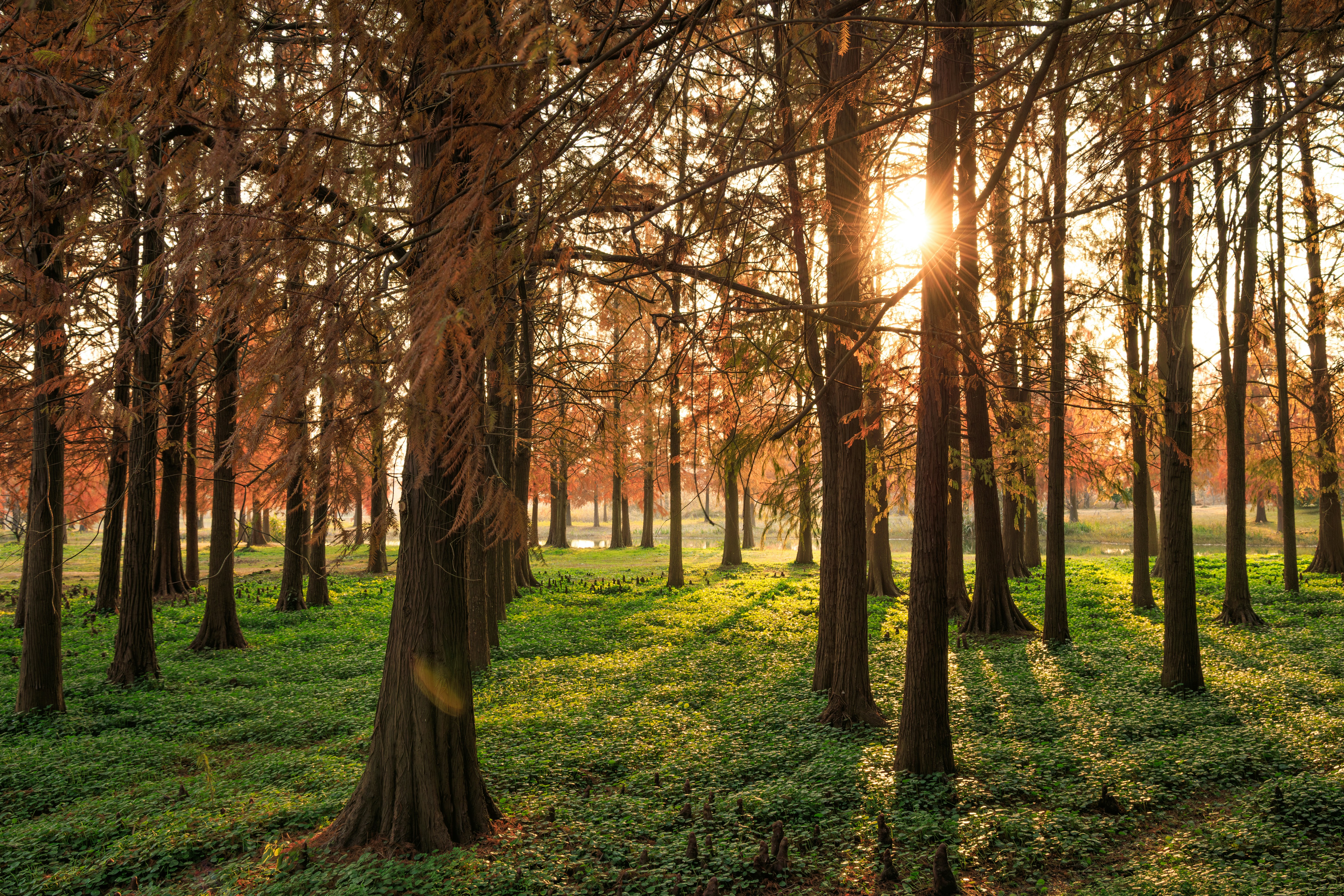 Photo by wenhao_ruan