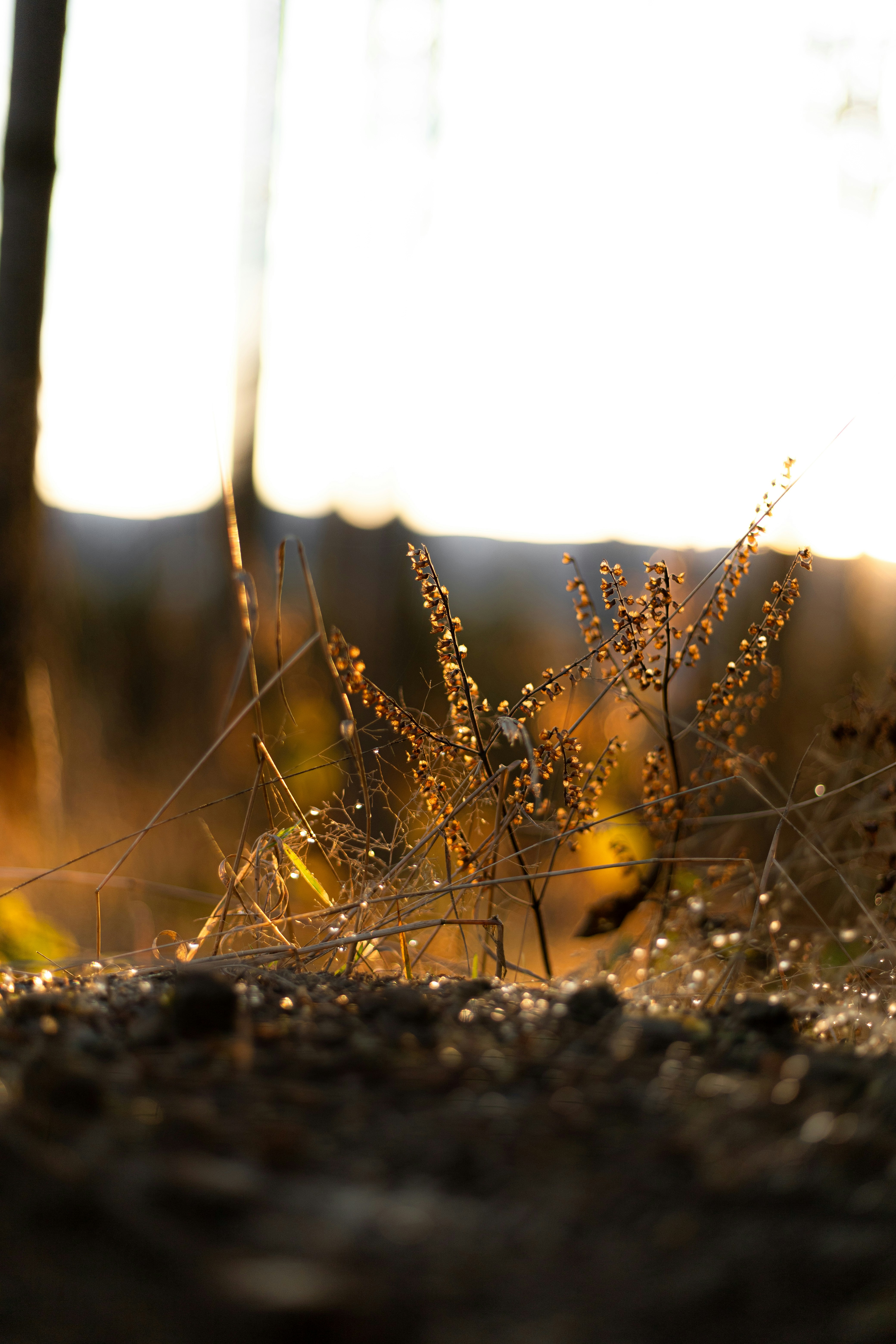 Photo by raw_negative_space