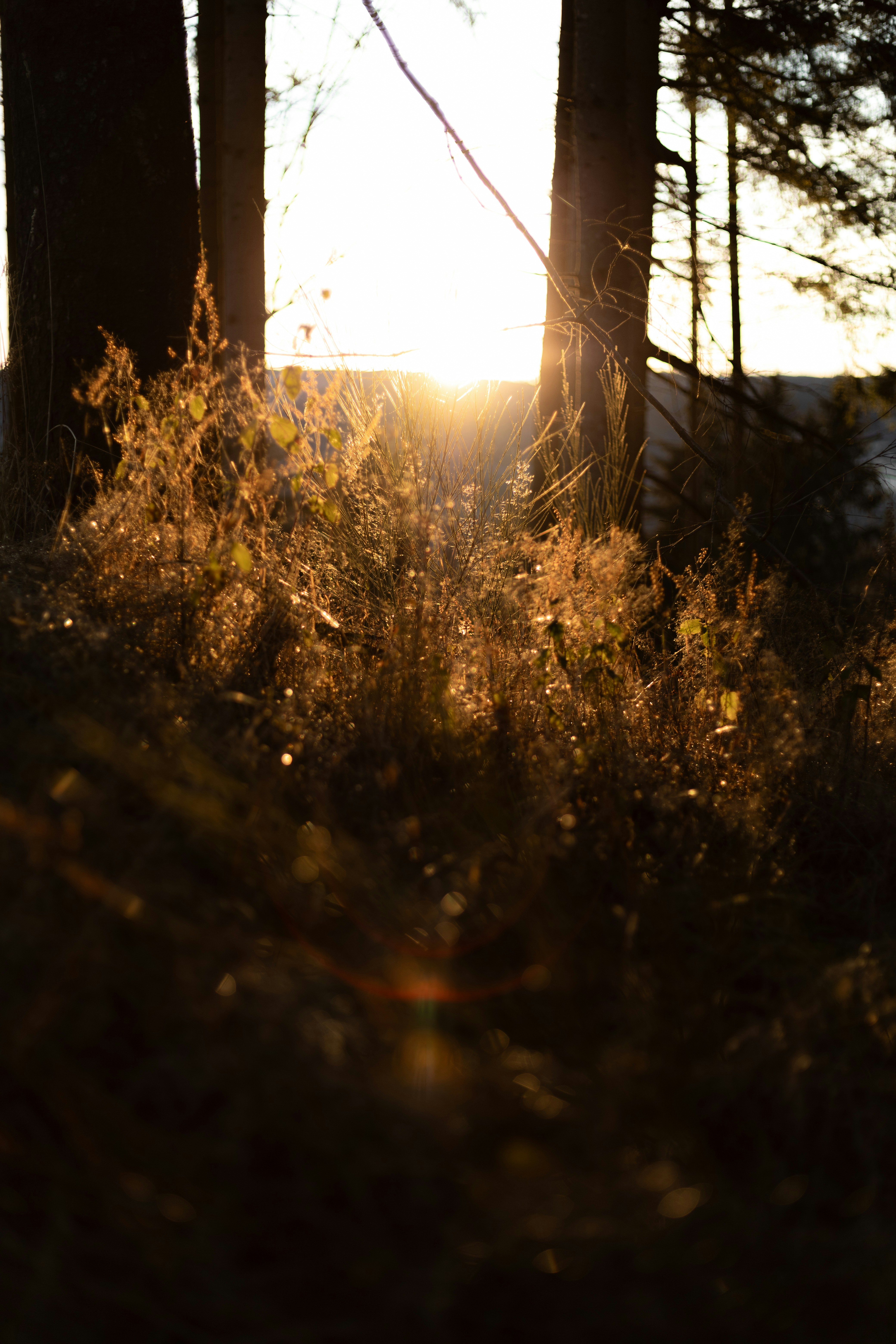 Photo by raw_negative_space