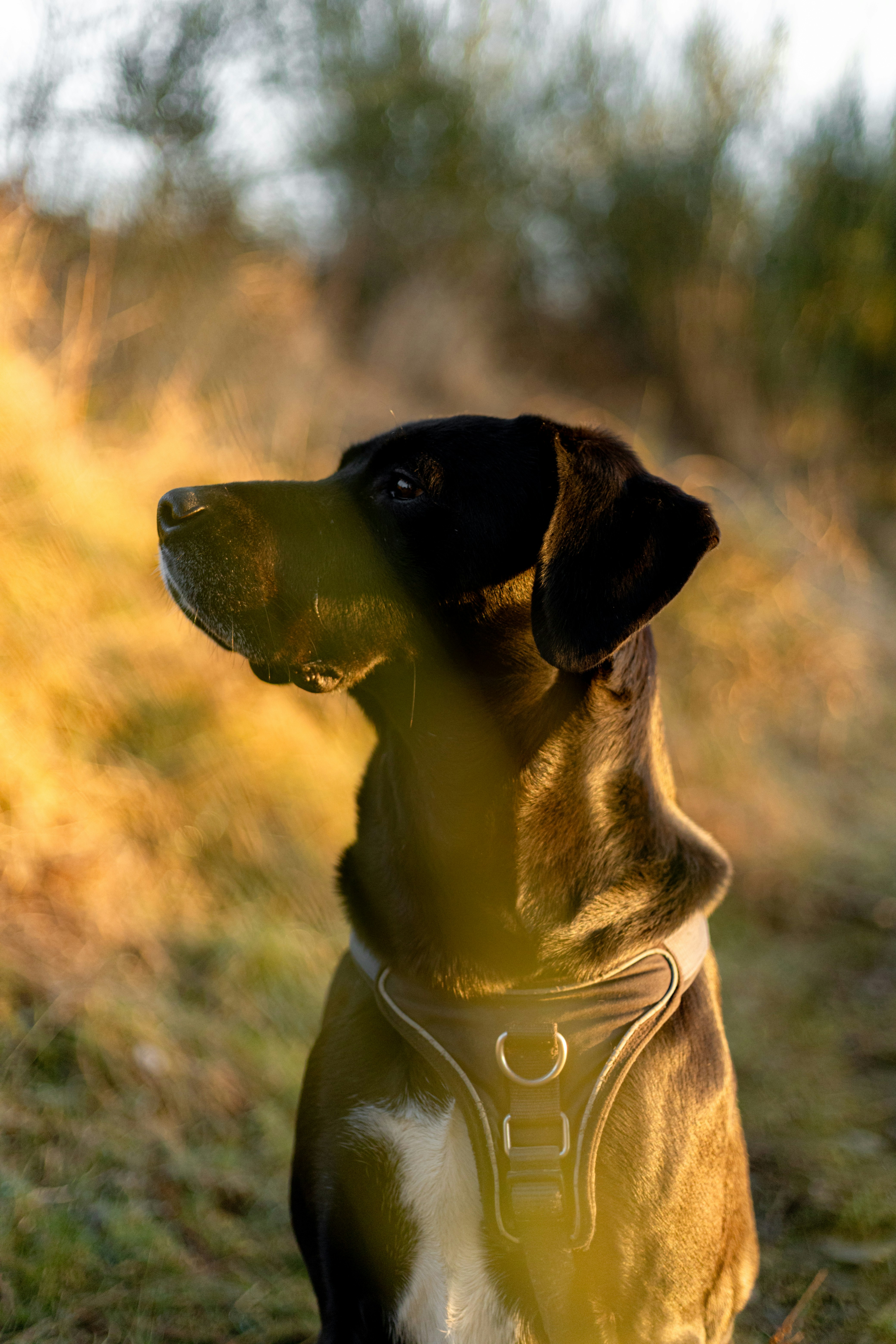 Photo by raw_negative_space