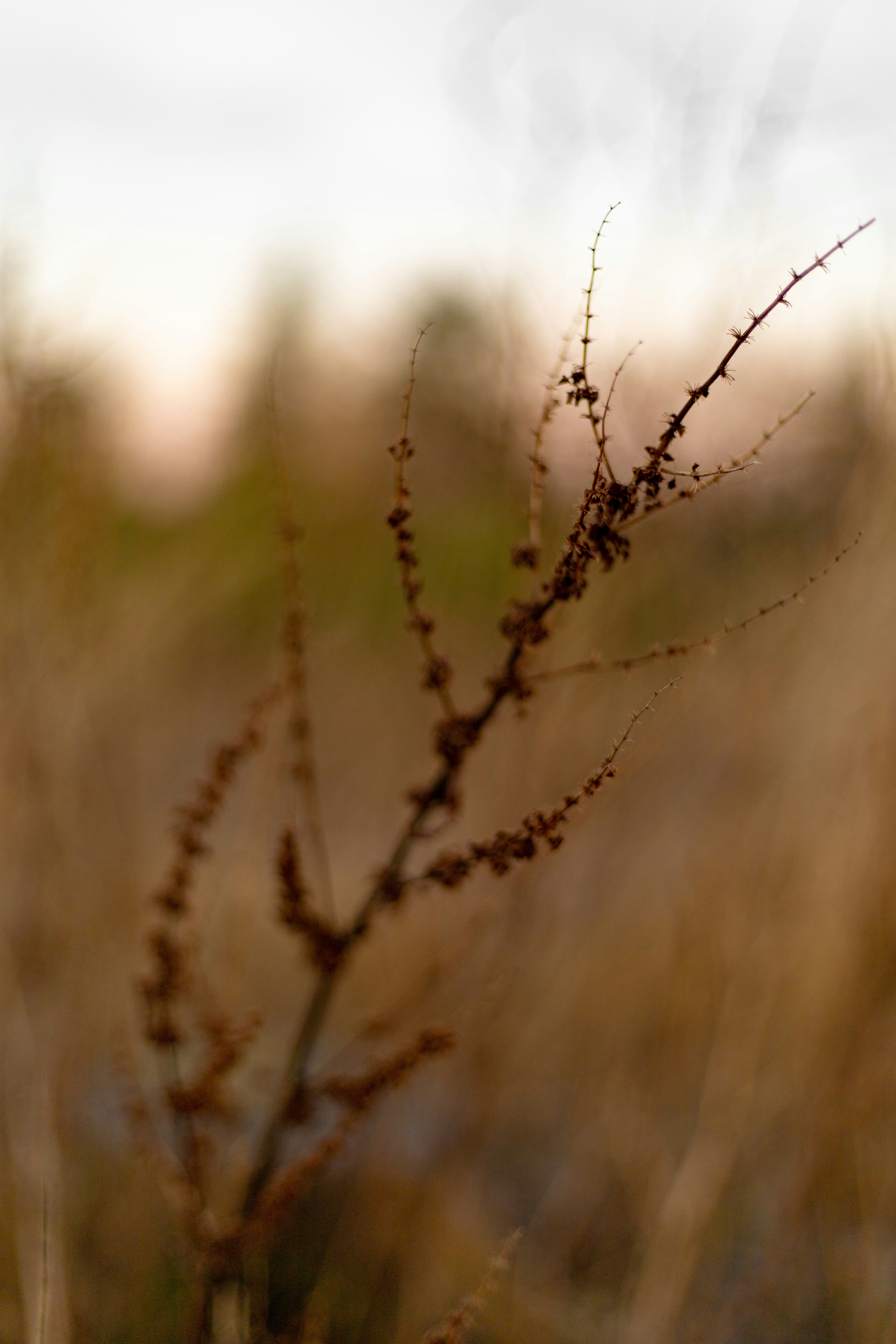 Photo by raw_negative_space