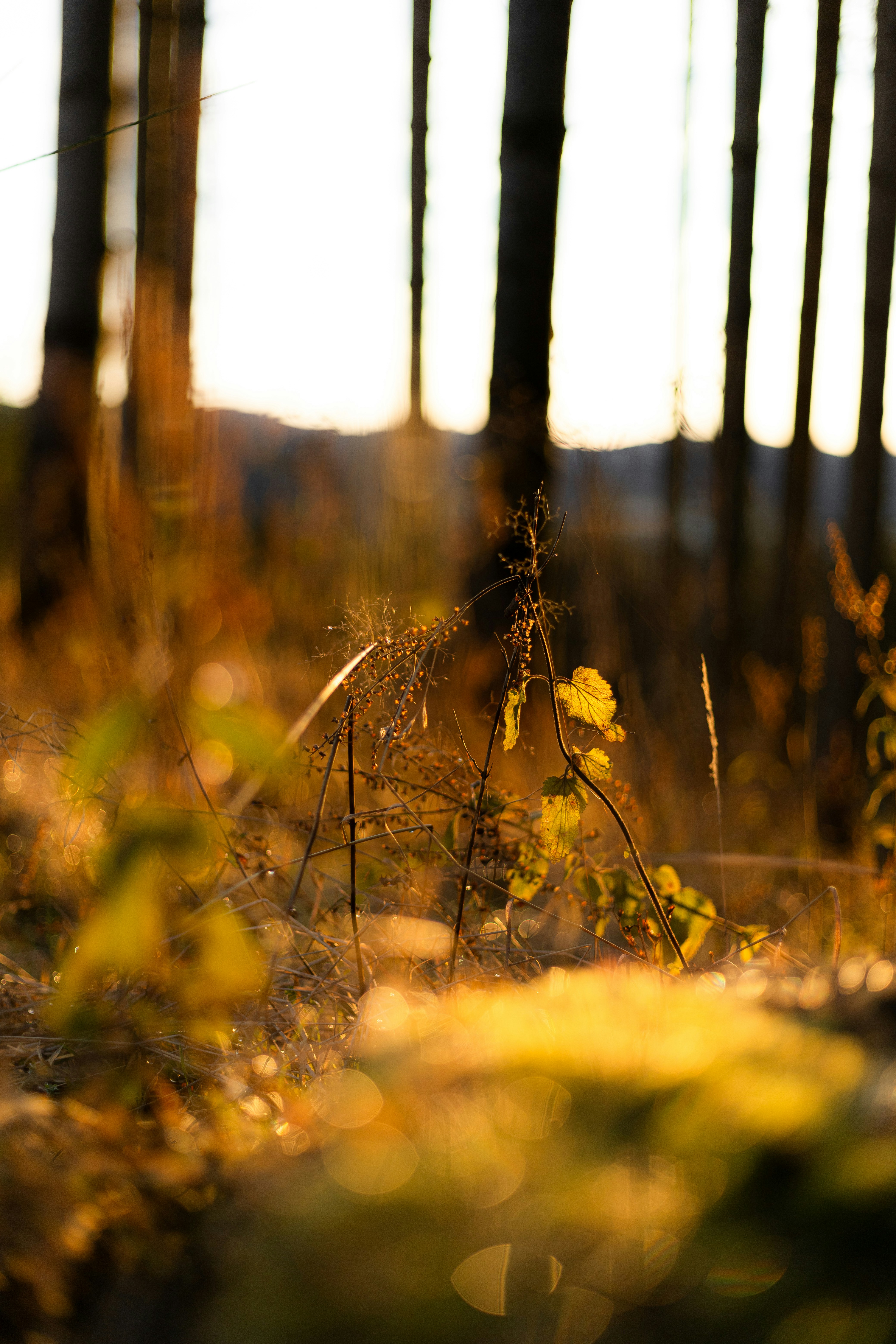 Photo by raw_negative_space