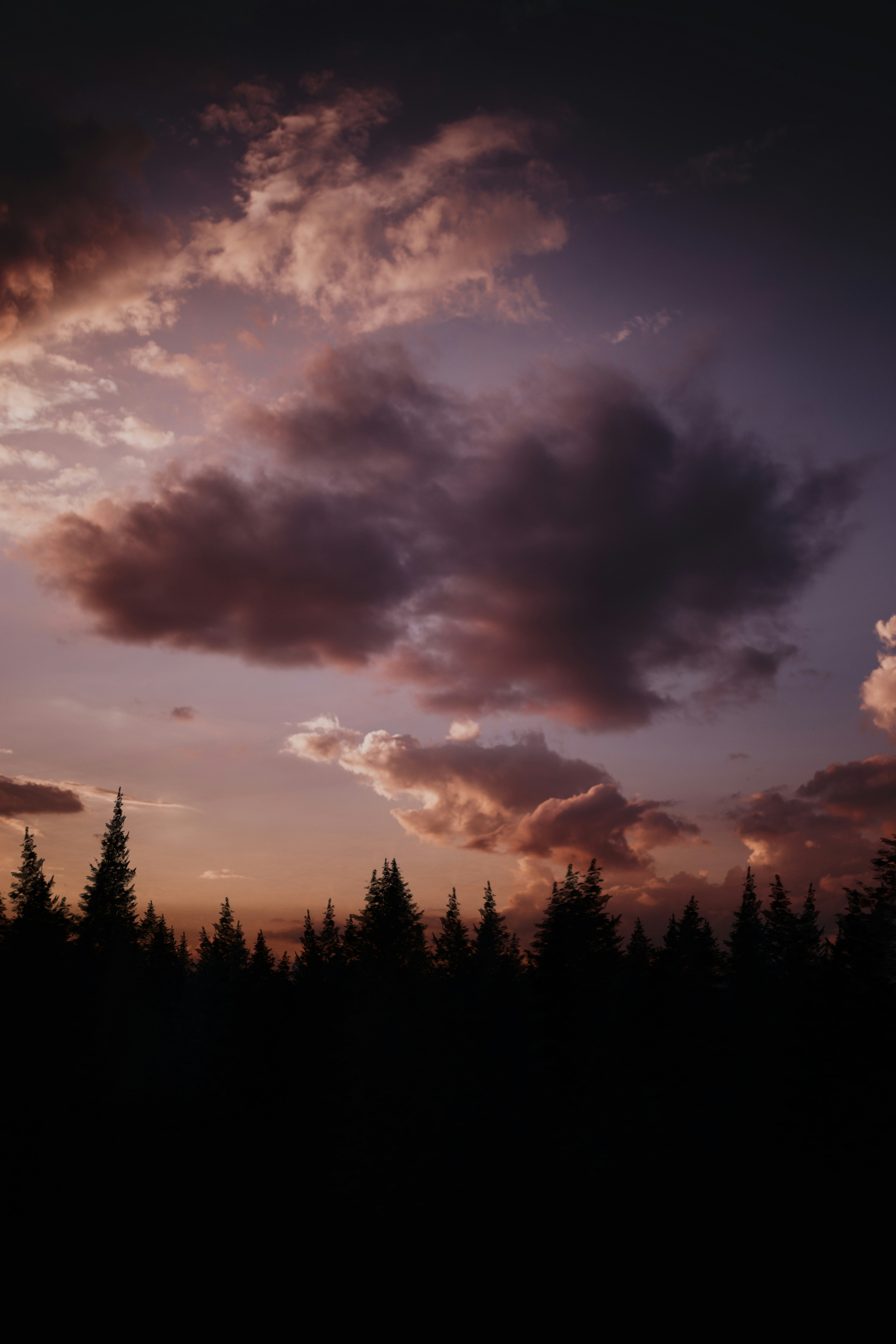 Photo by filipkvasnak