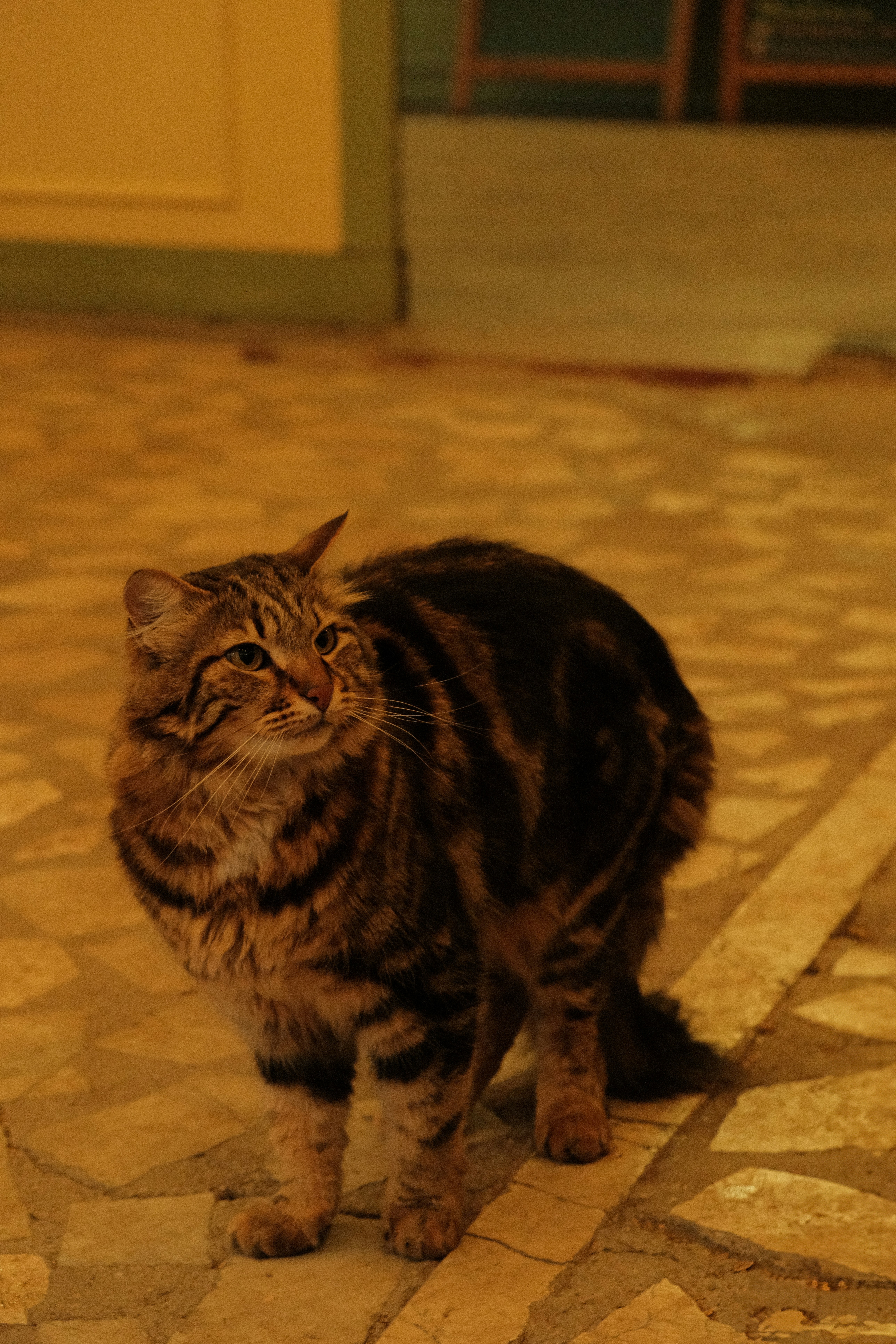 Photo by ismailefetop