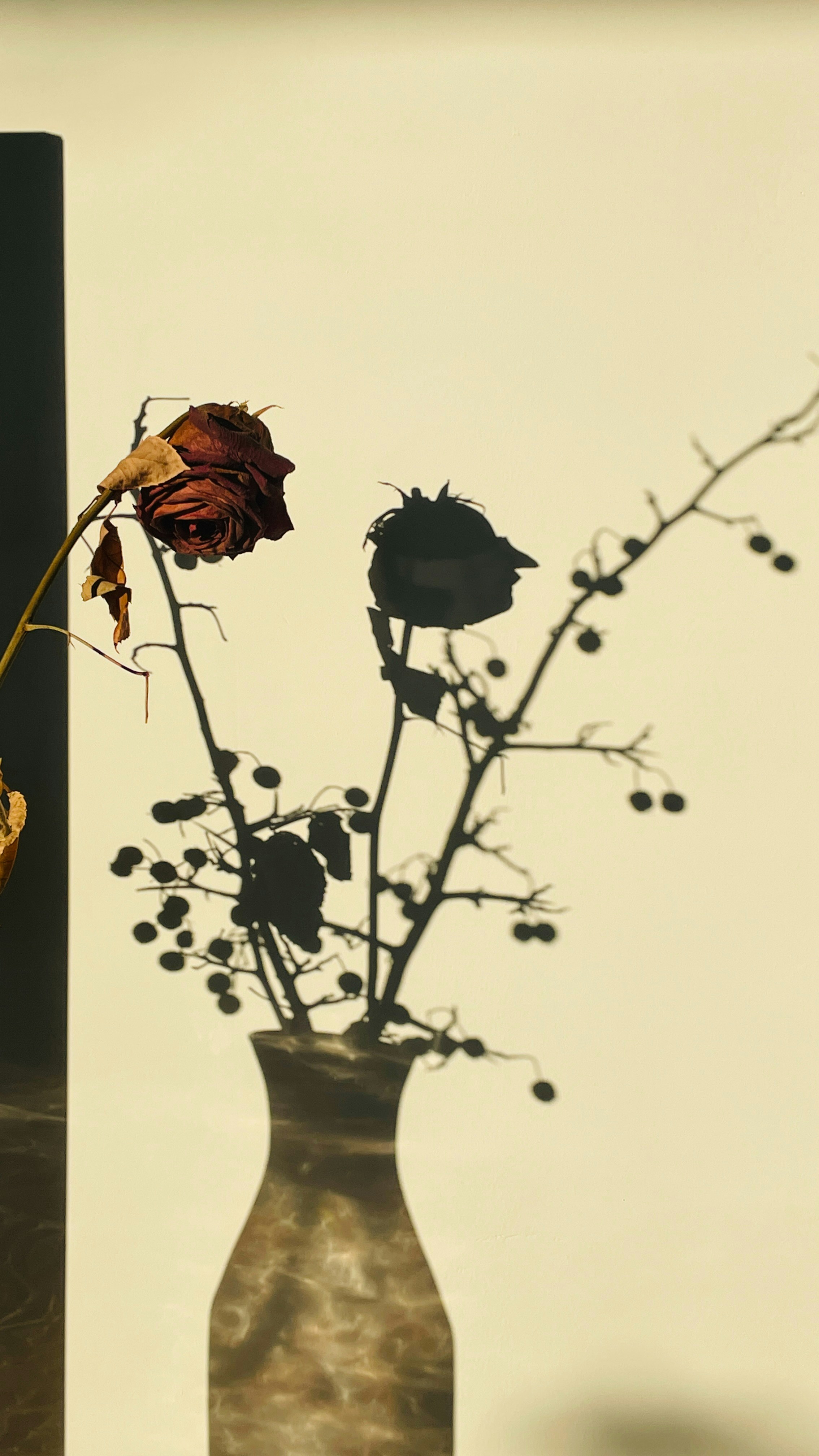 A vase filled with dried flowers on top of a table