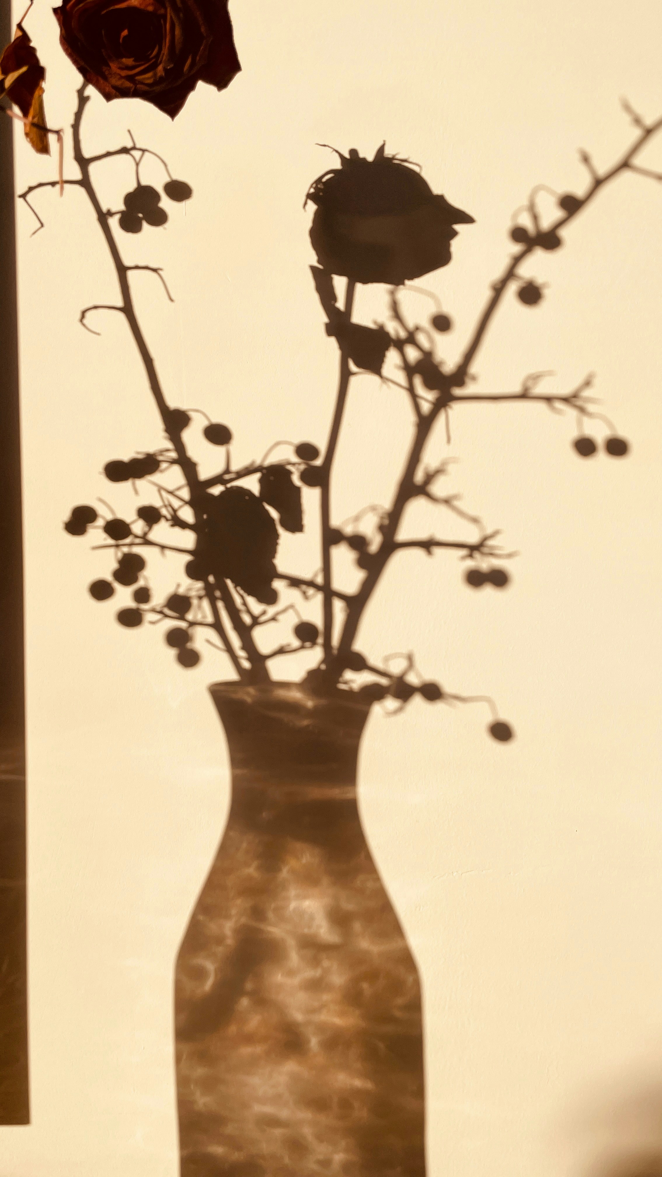 A vase filled with flowers sitting next to a window
