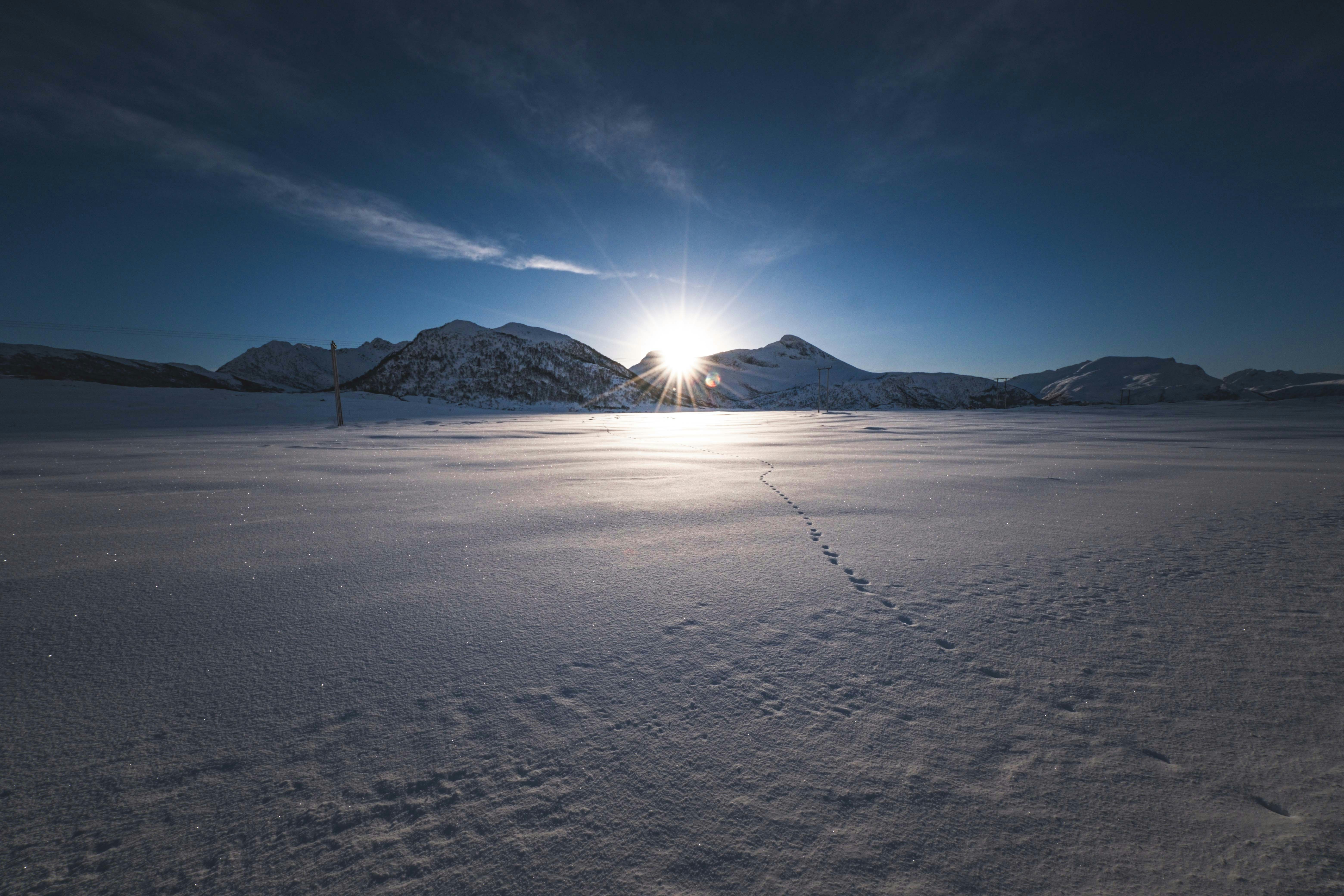 Photo by francesco_ungaro