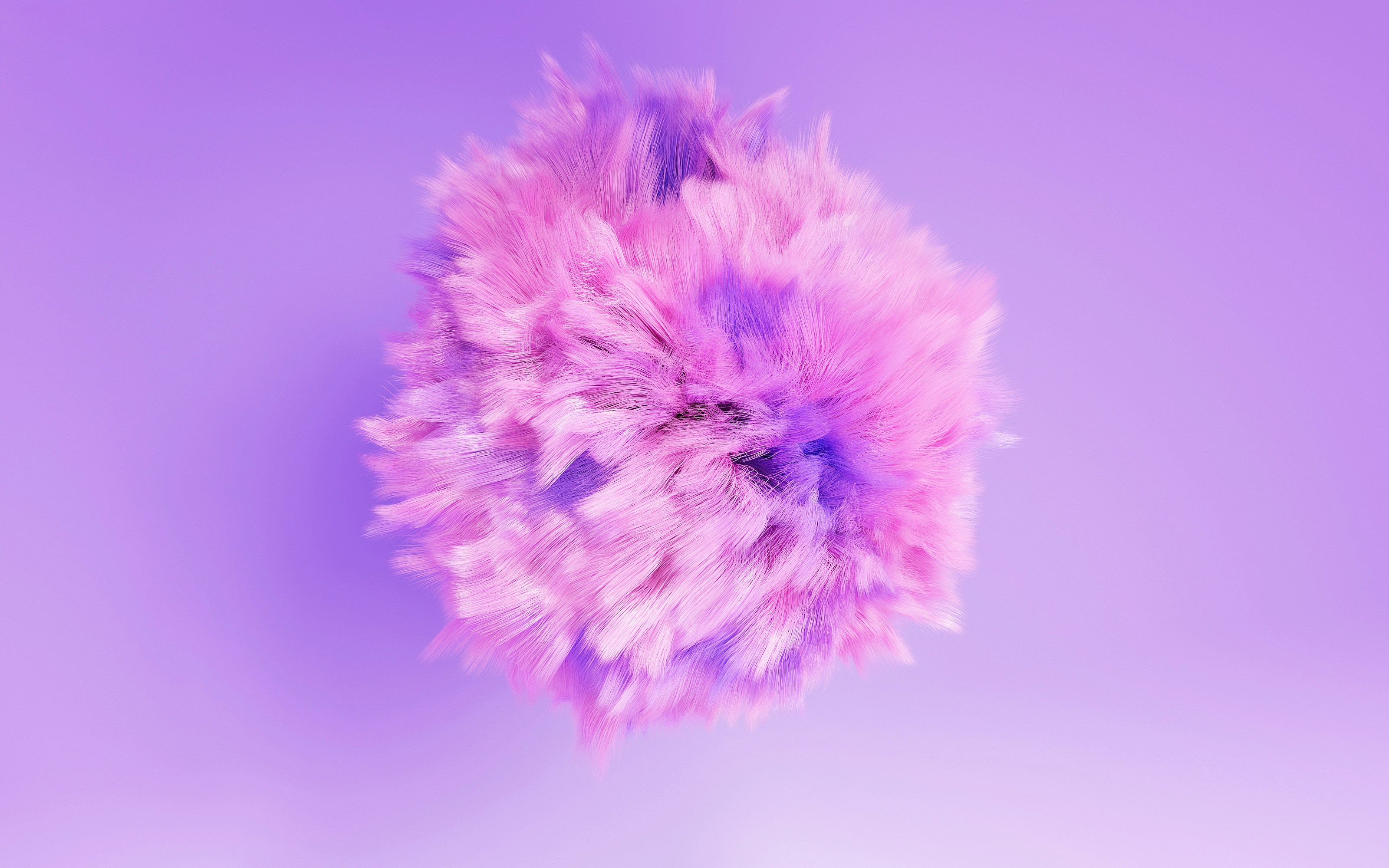 Photo by eternalzard