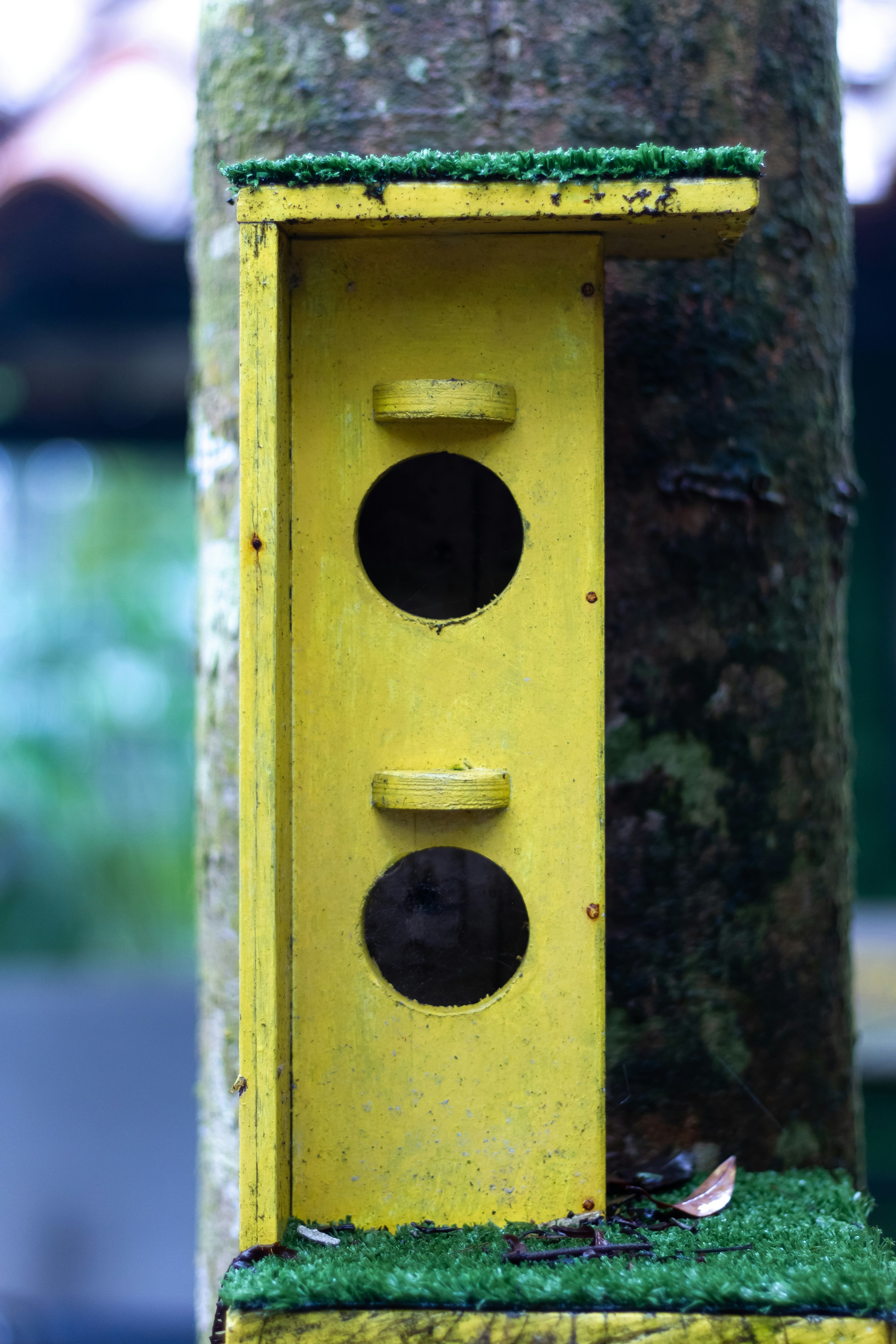 A yellow birdhouse with two birds inside of it