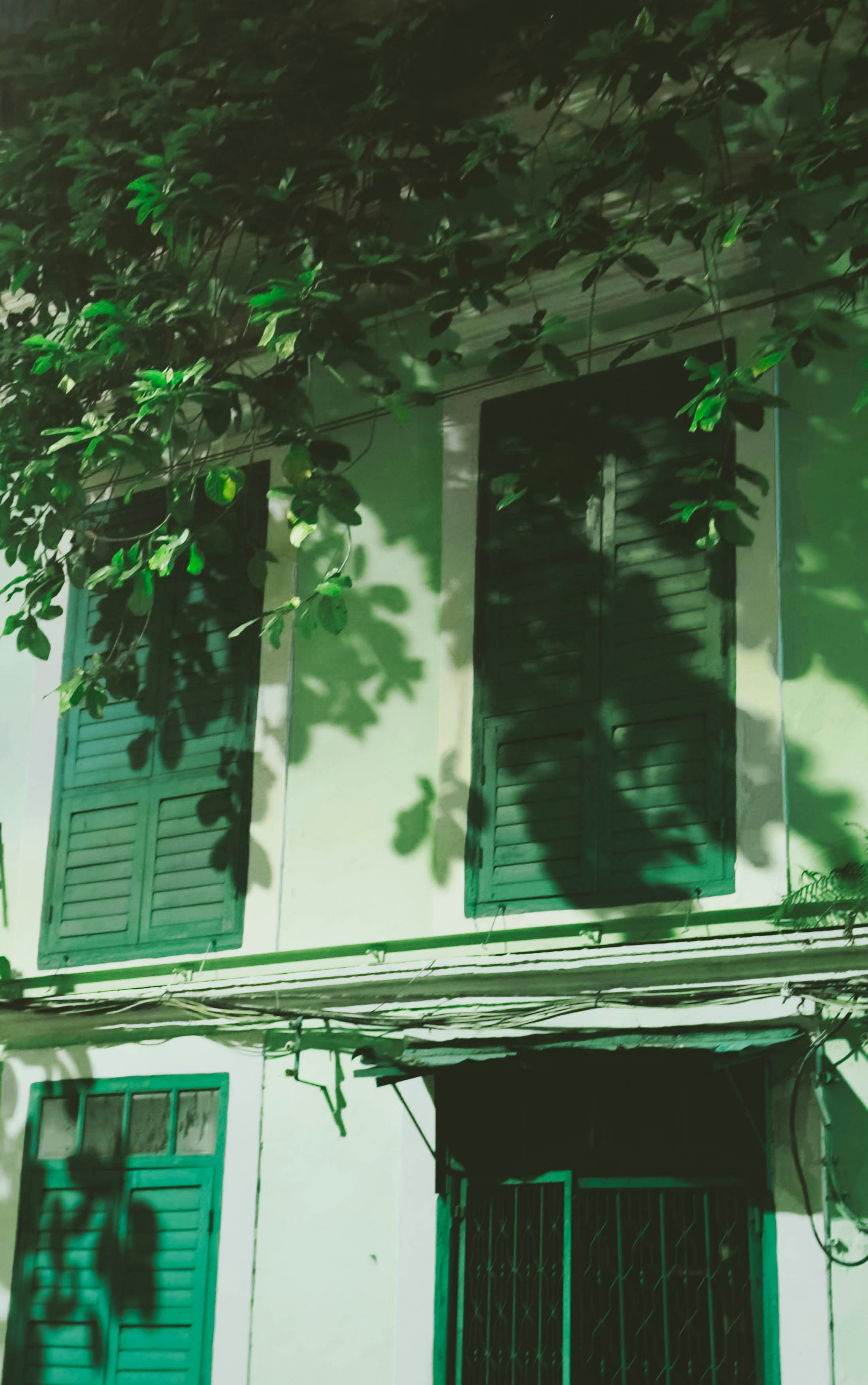 Photo by macau_photography