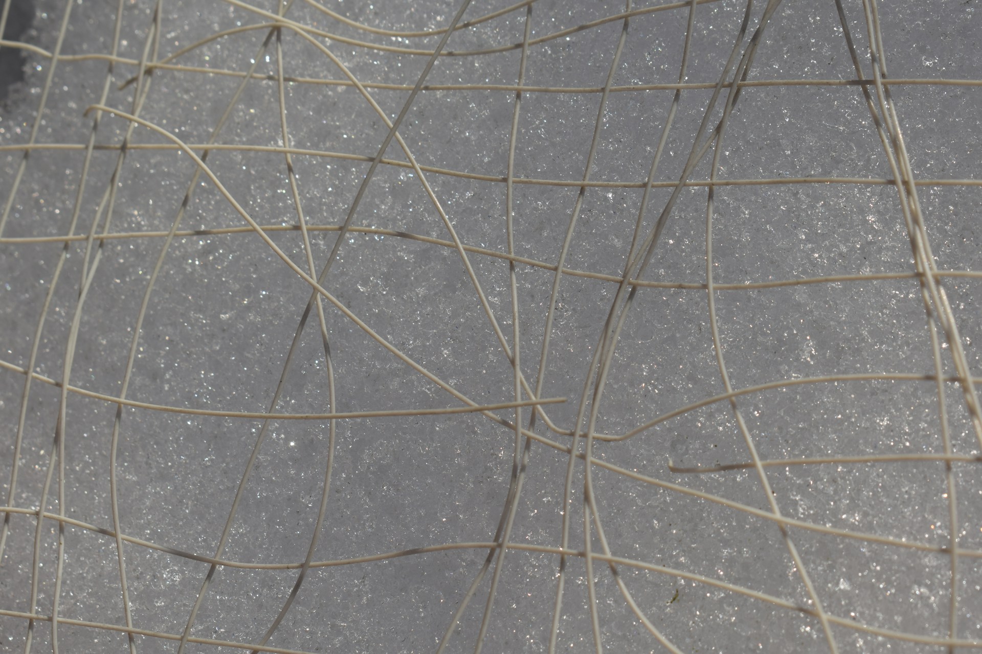 A close up view of a piece of cloth