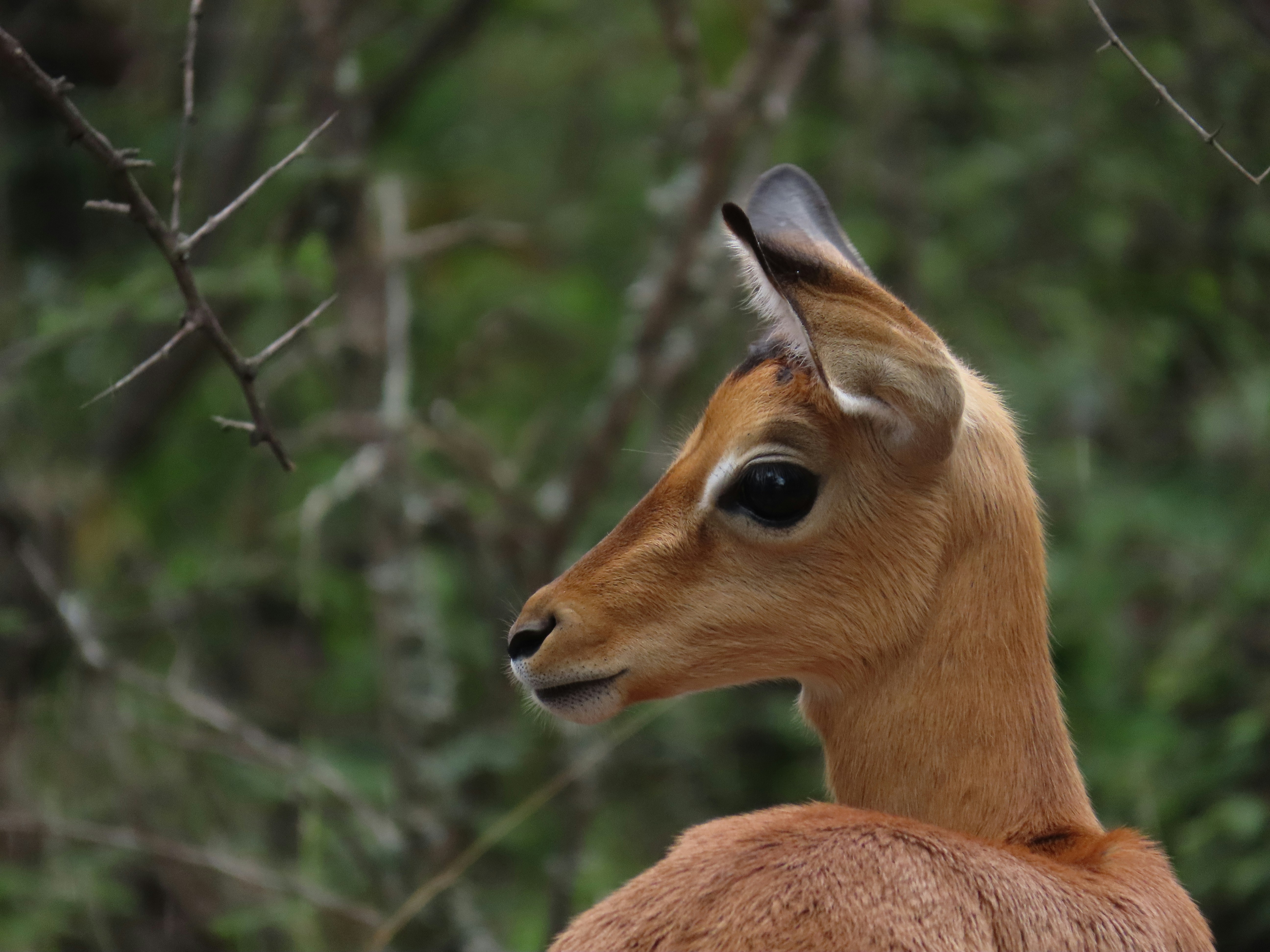 Photo by ja_photography