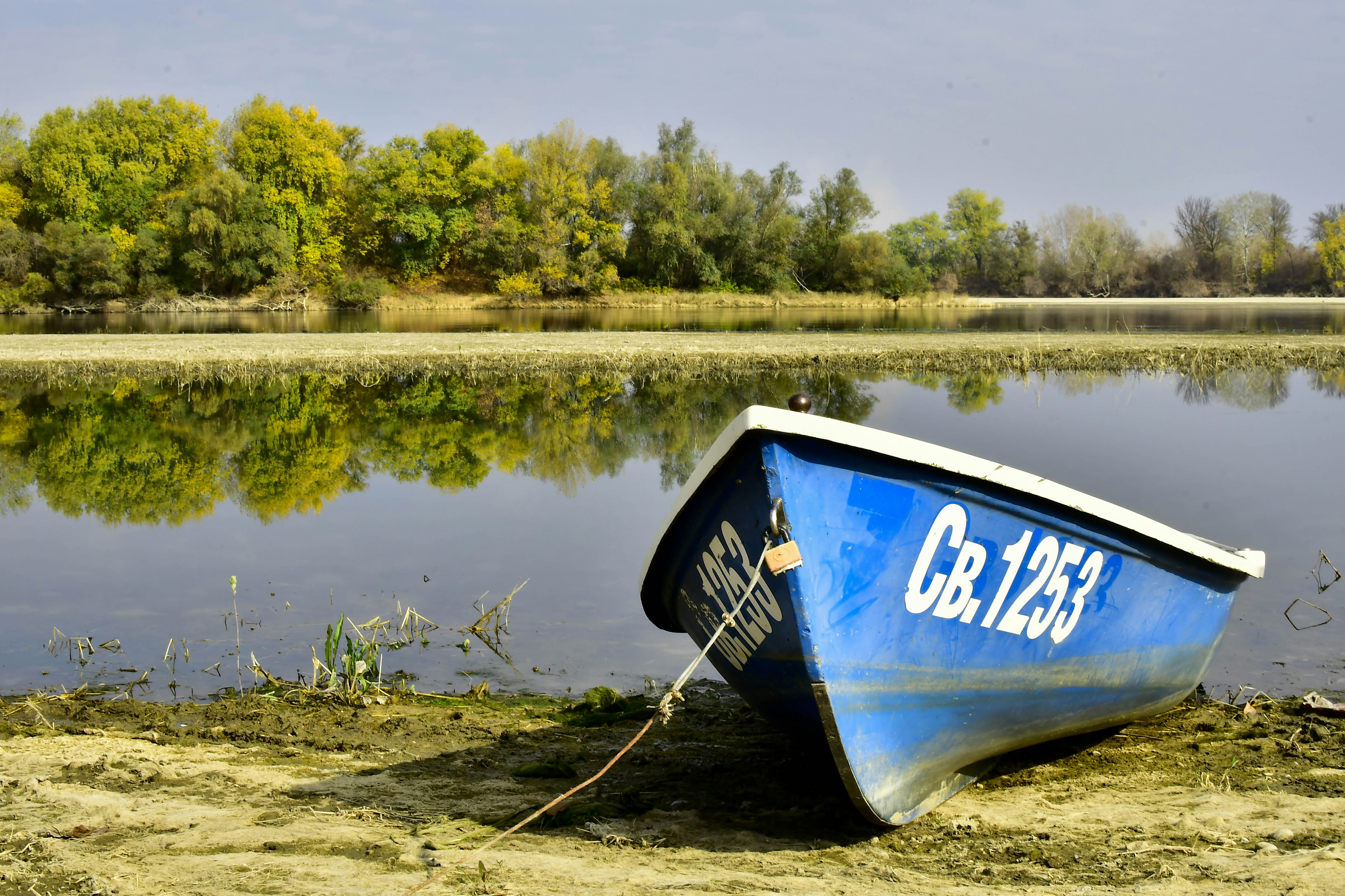 A blue boat sitting on top of a sandy beach photo – Free Land Image on ...