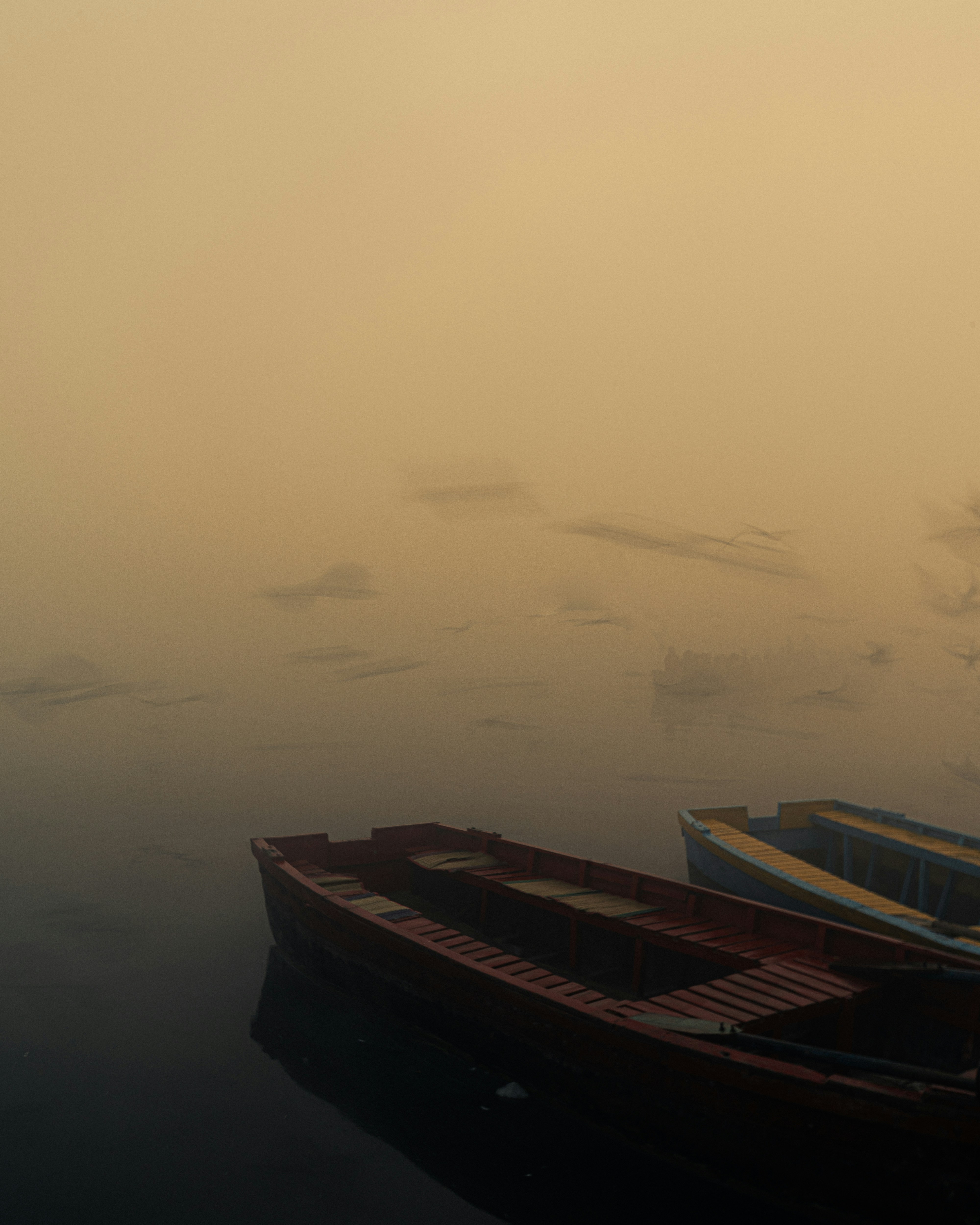 Photo by iatulp
