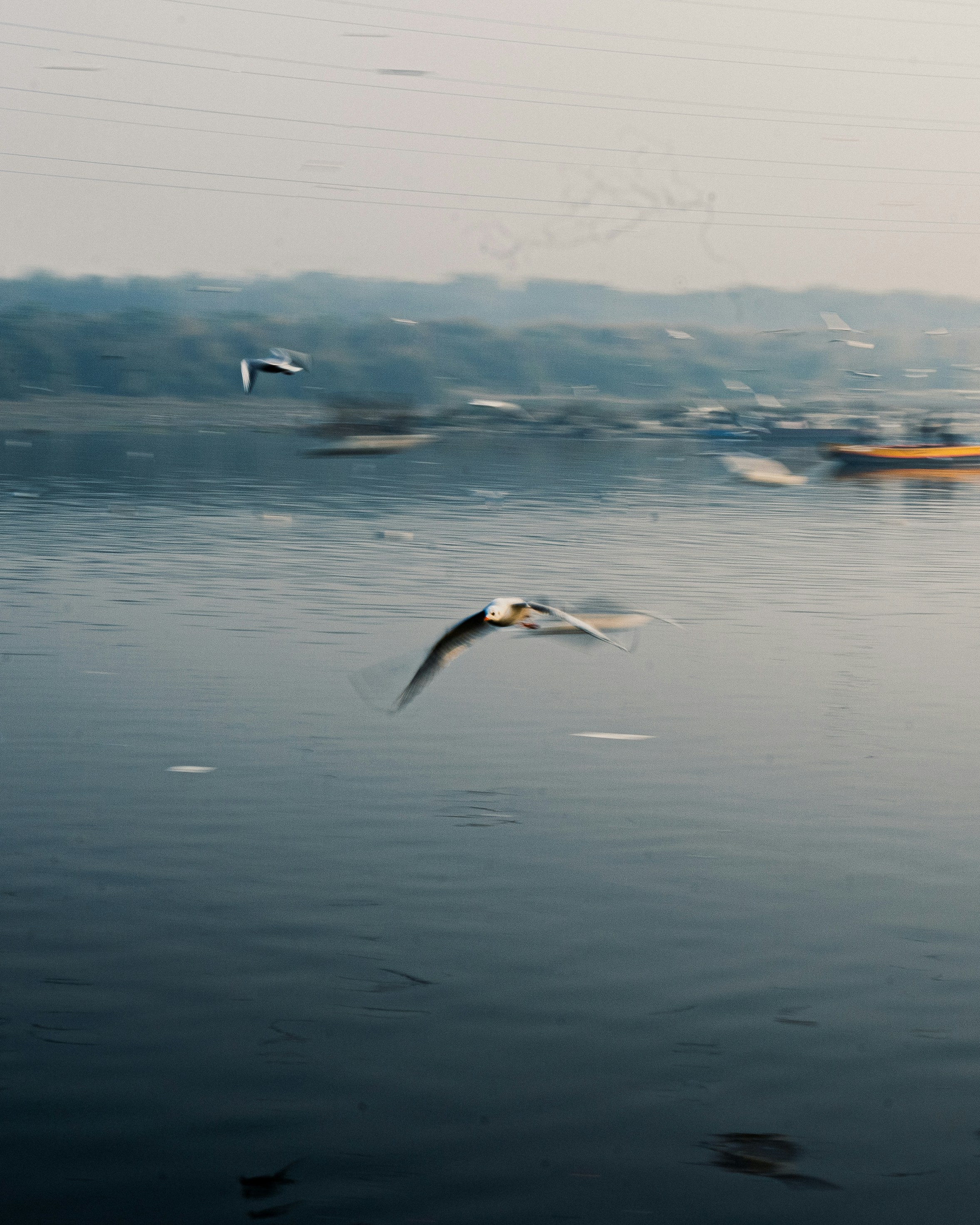 Photo by iatulp