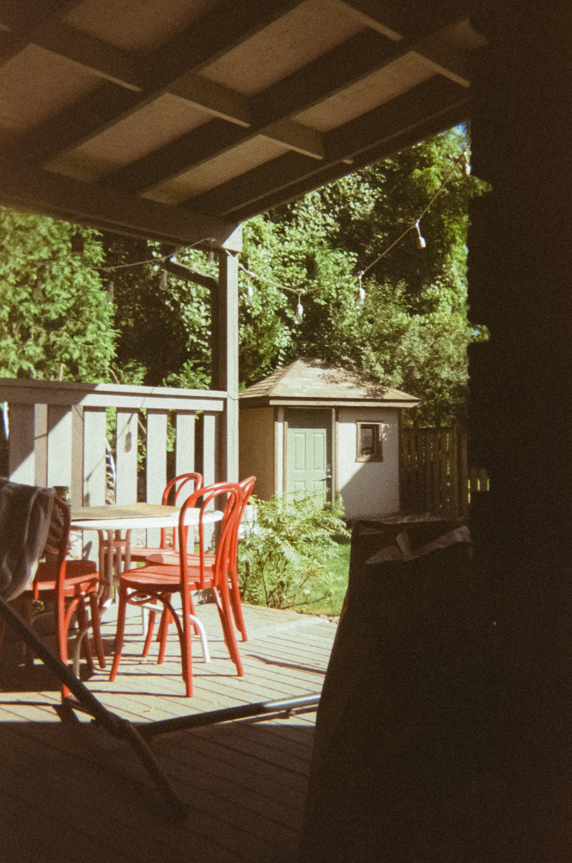 Photo by linusbelanger