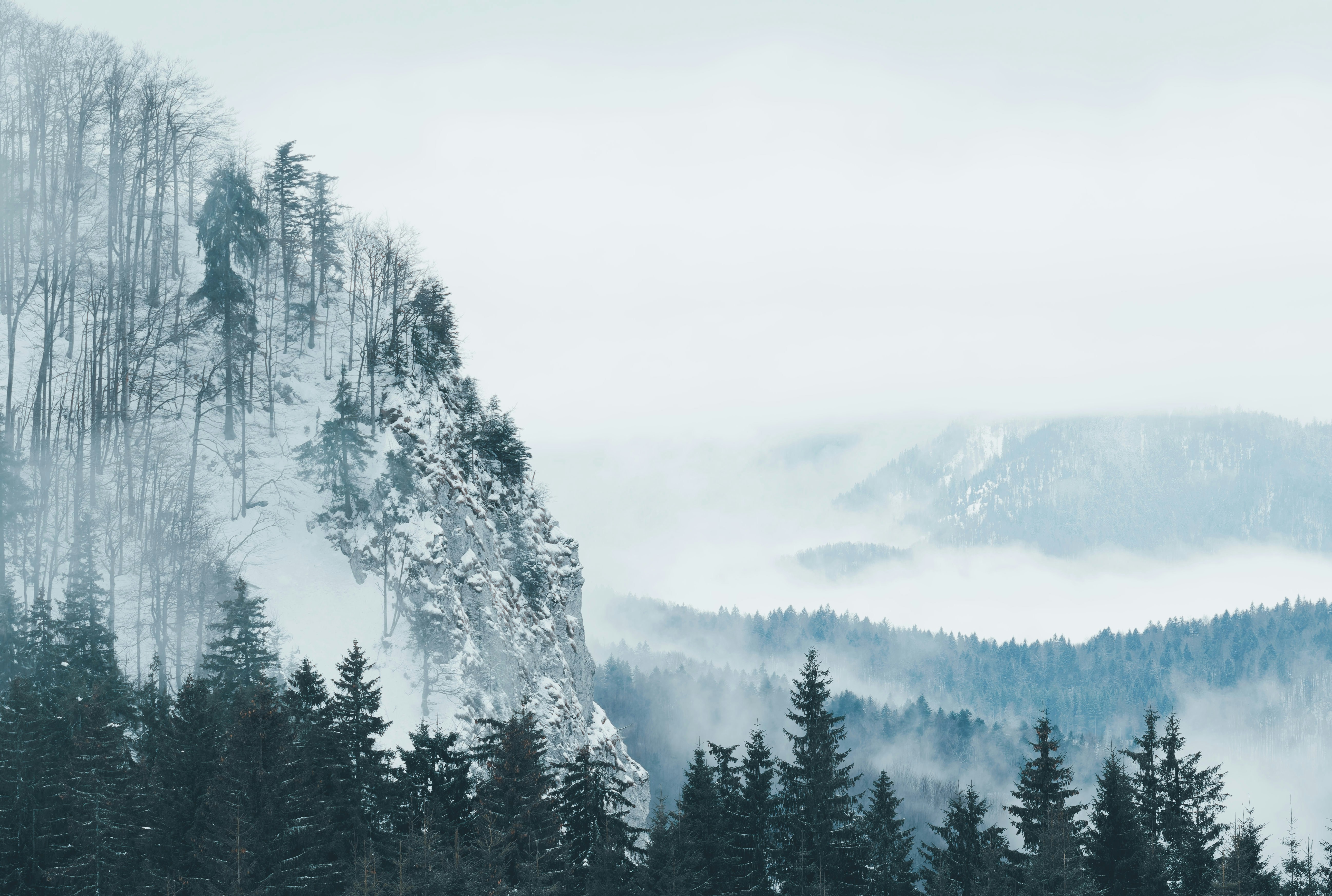 Photo by illes_cristi