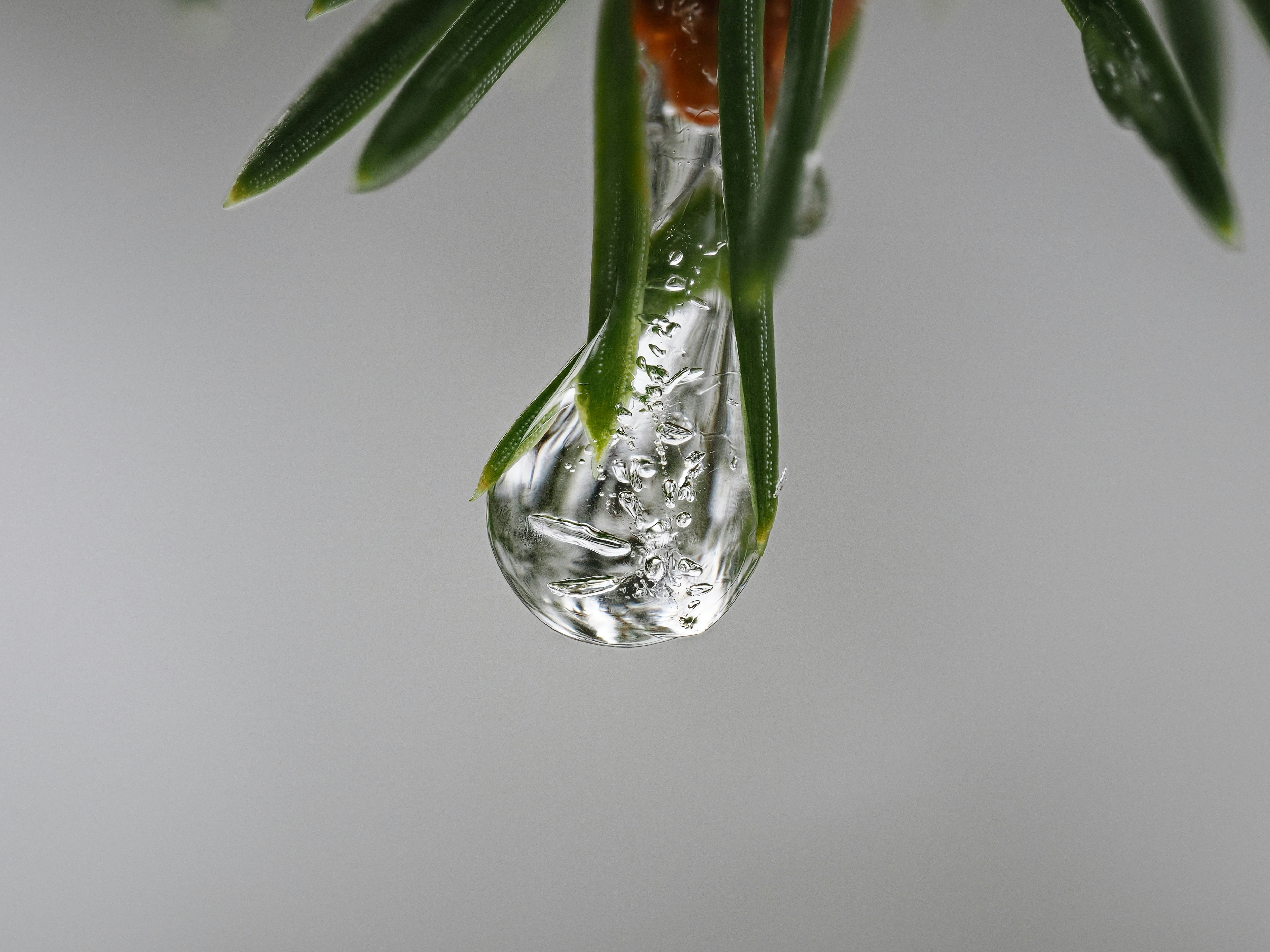 Photo by illes_cristi