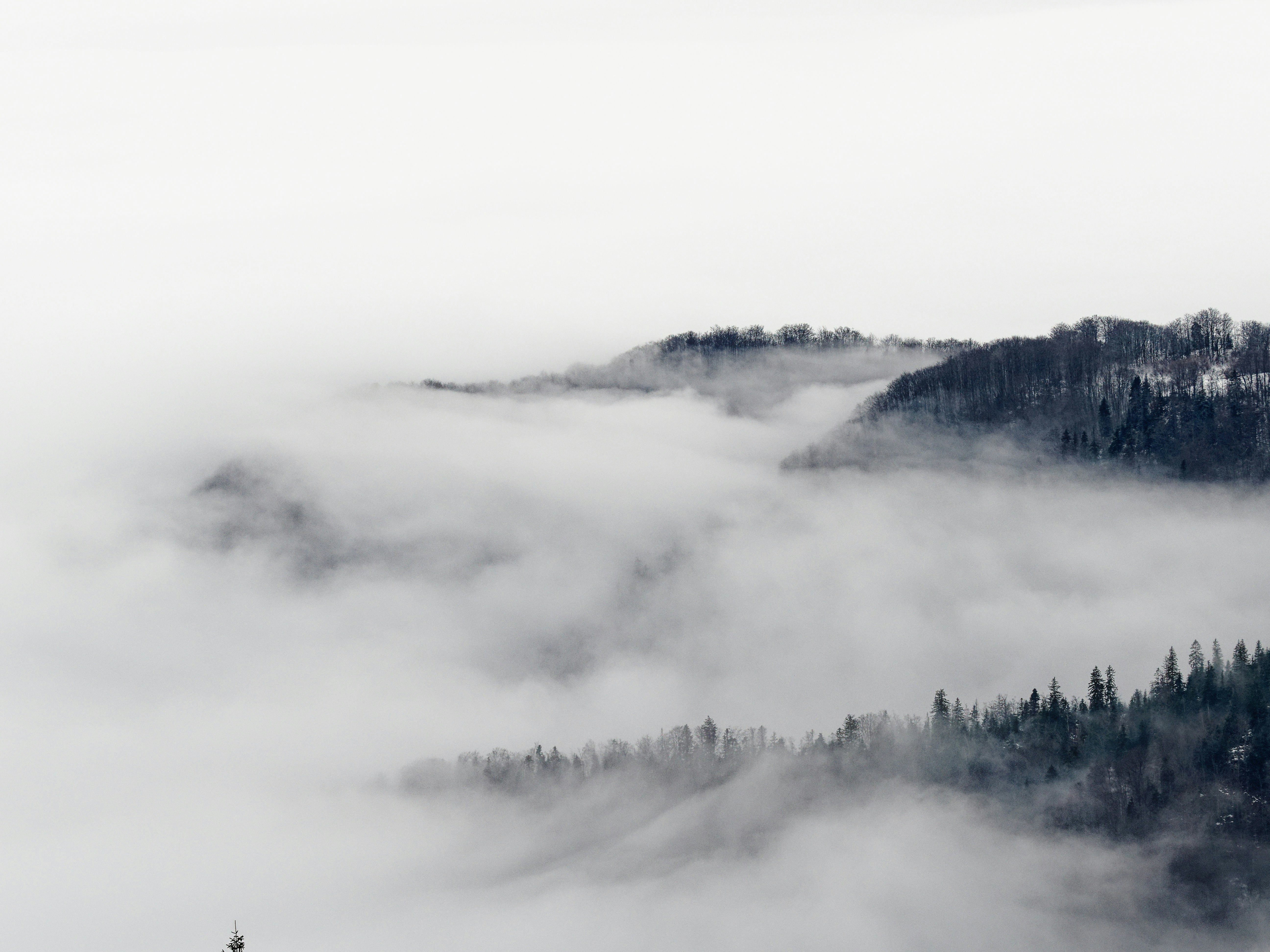 Photo by illes_cristi