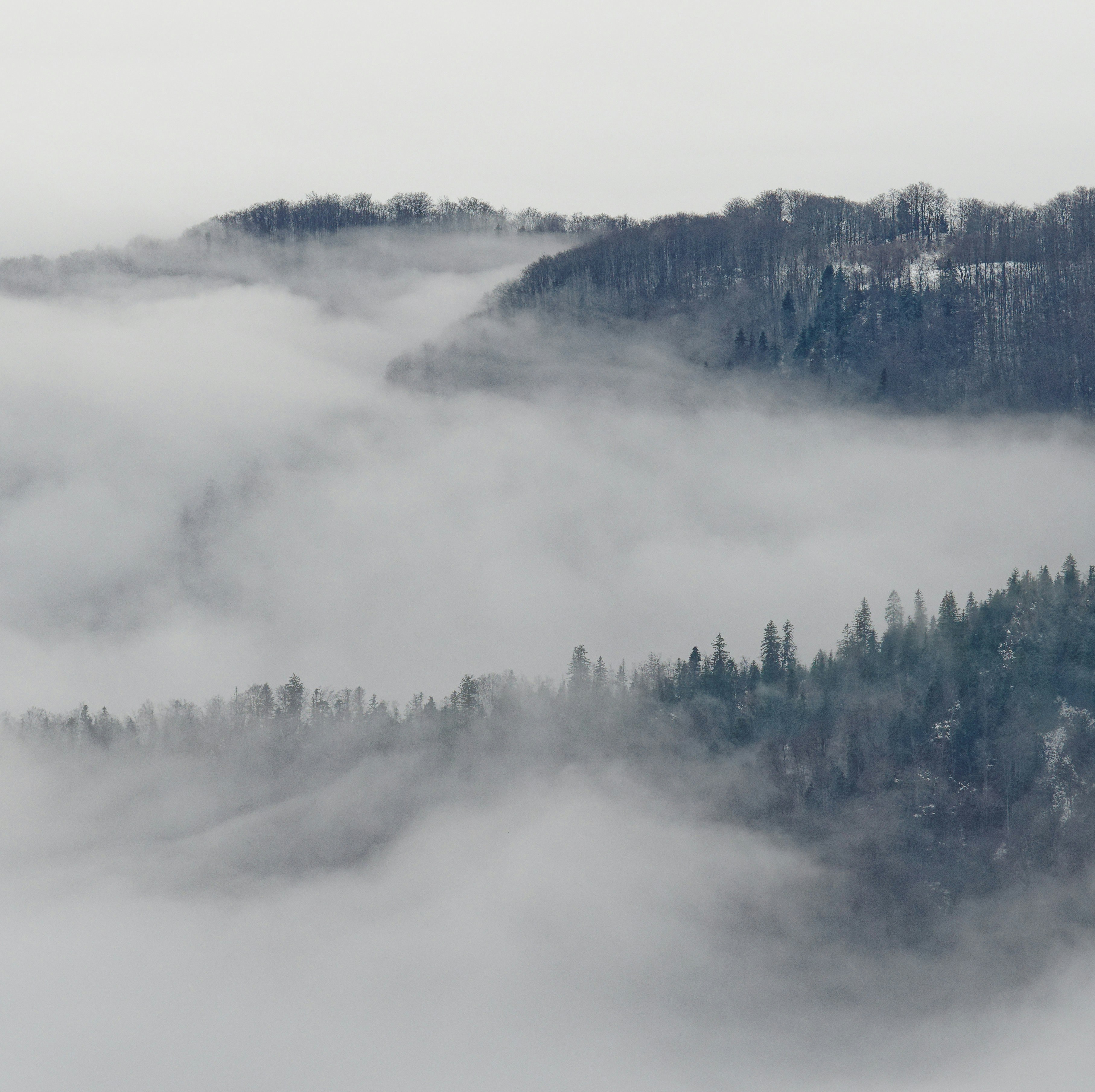 Photo by illes_cristi