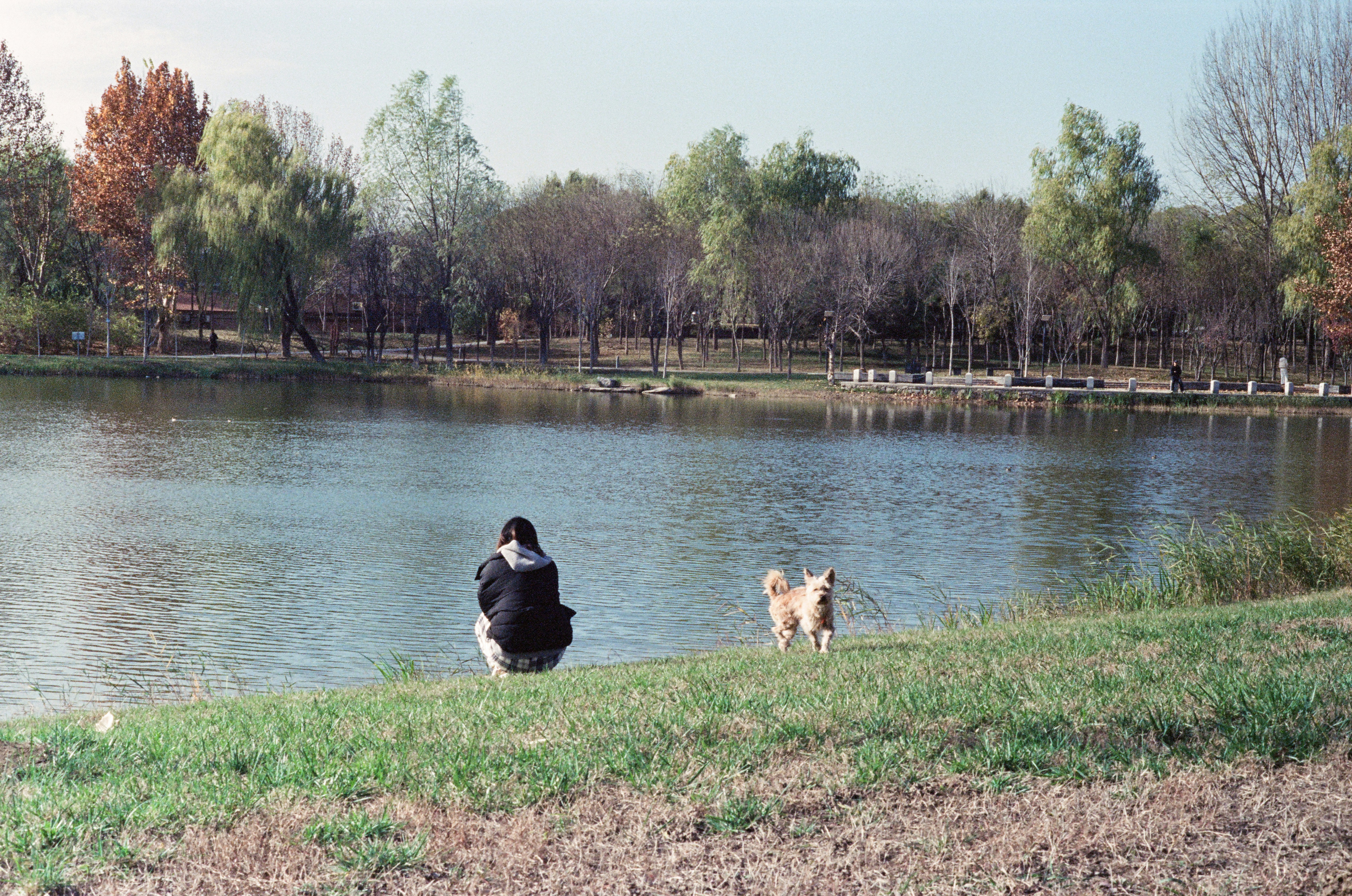 A woman sitting on a bench next to a lake