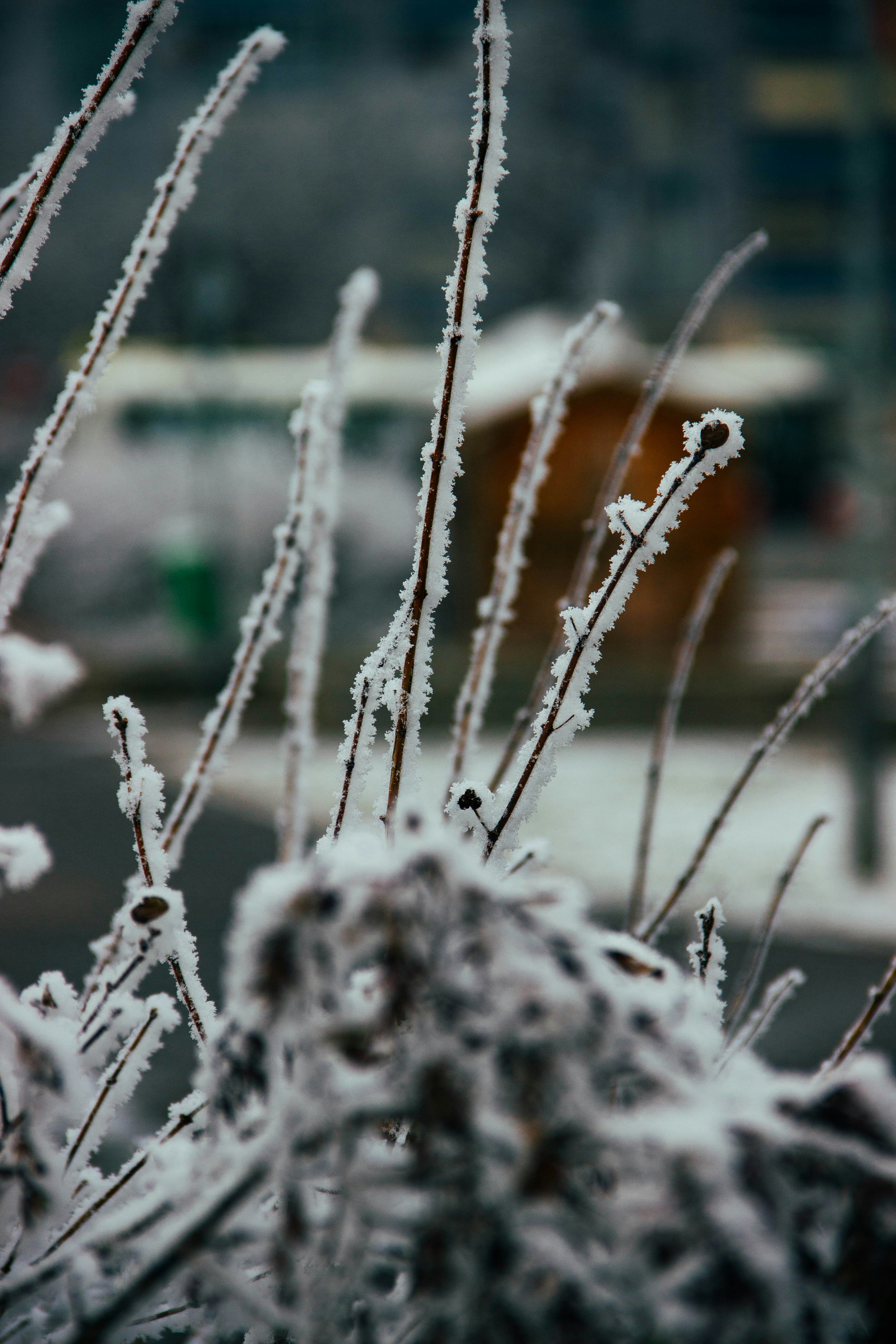 Photo by daniyarorazov