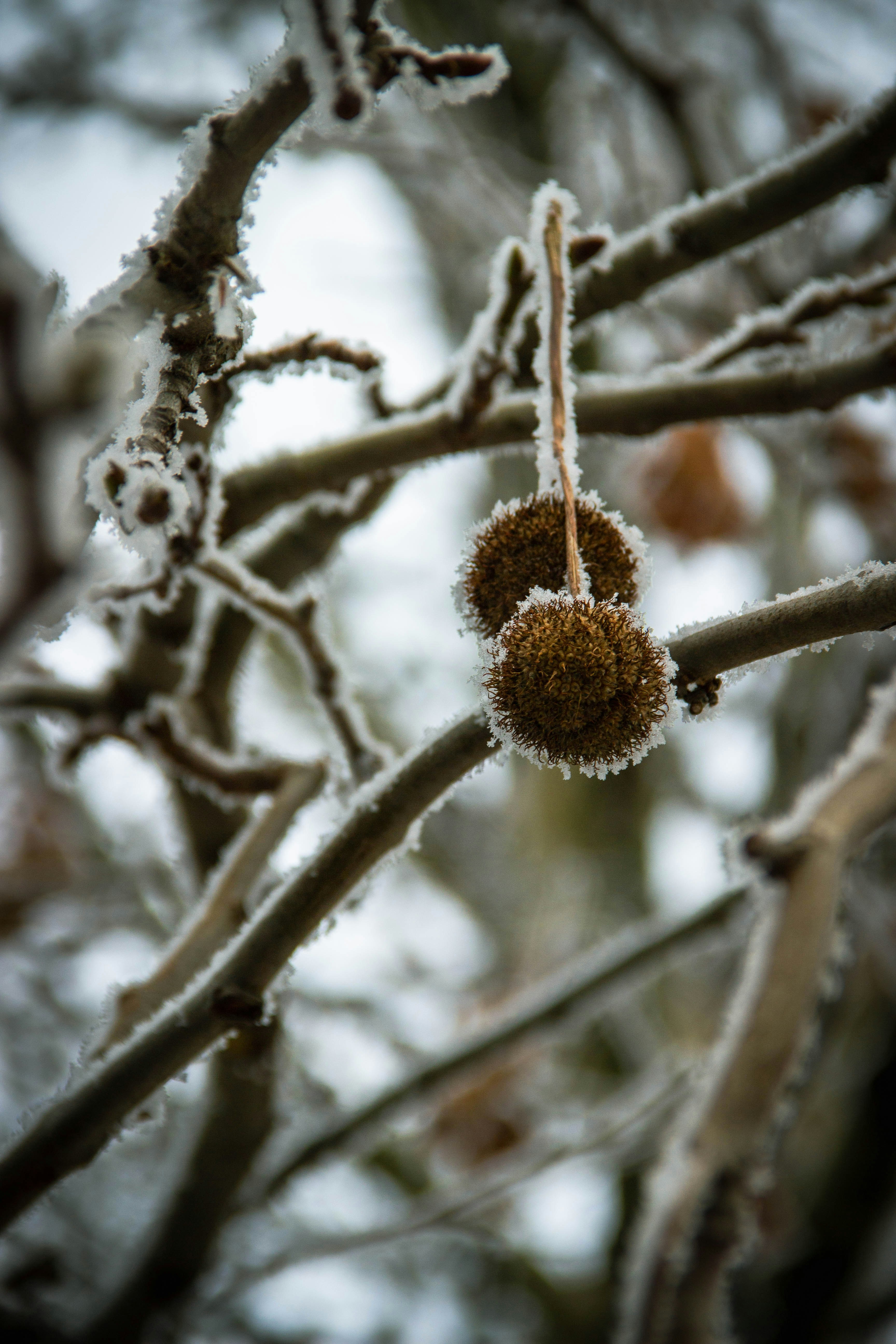 Photo by daniyarorazov