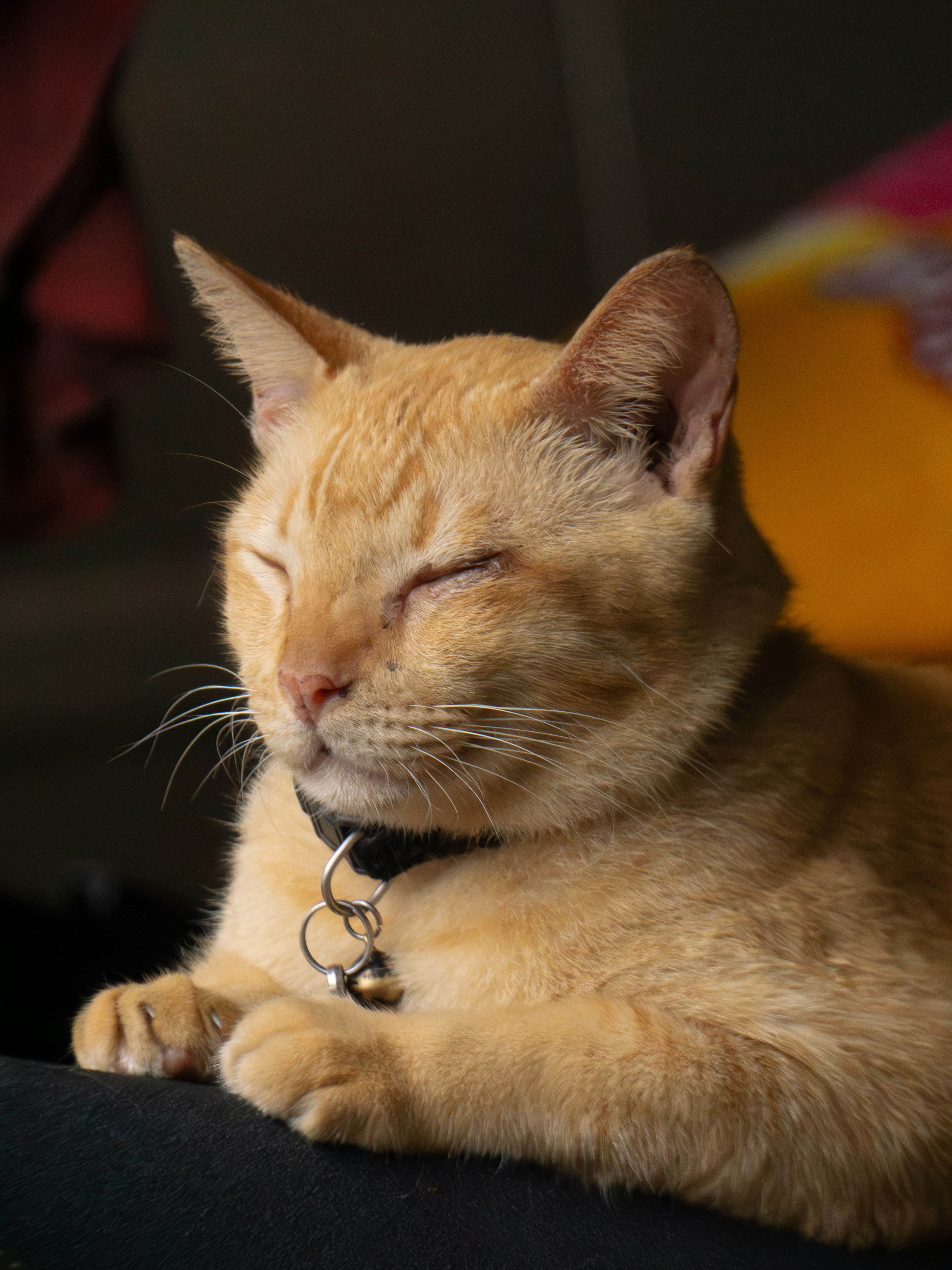 Photo by adrianhenry