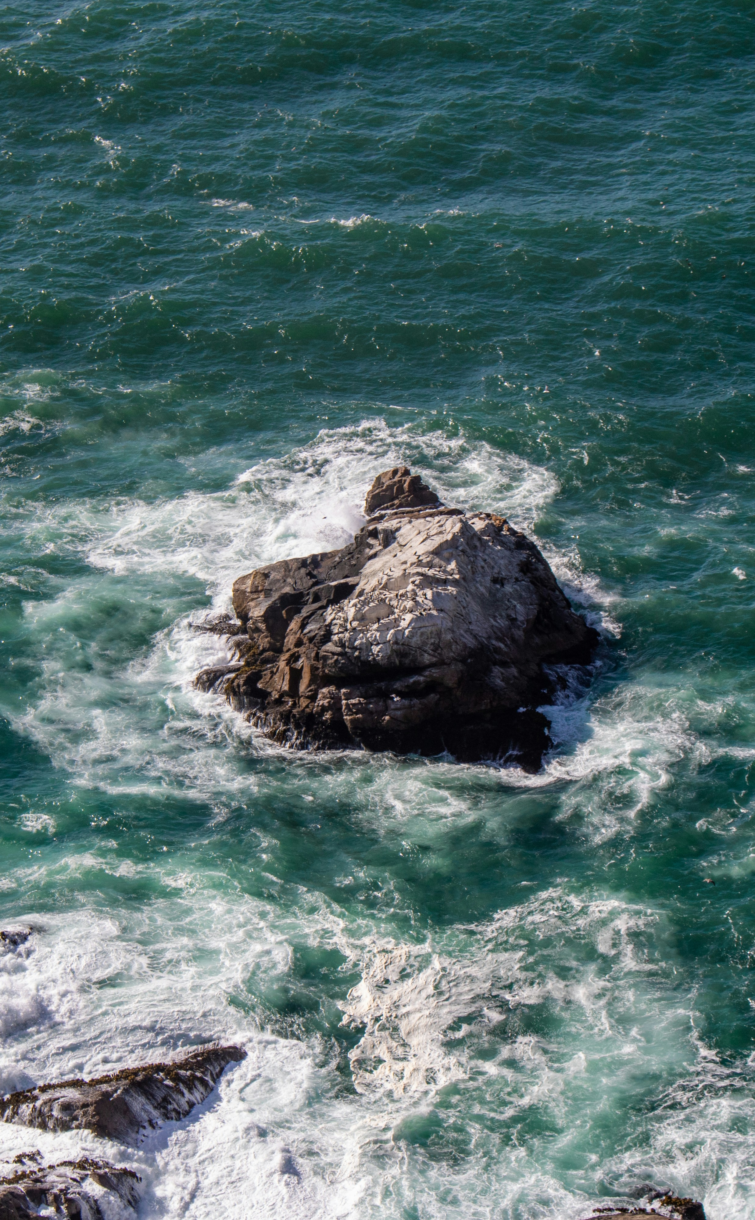 Photo by zoshuacolah