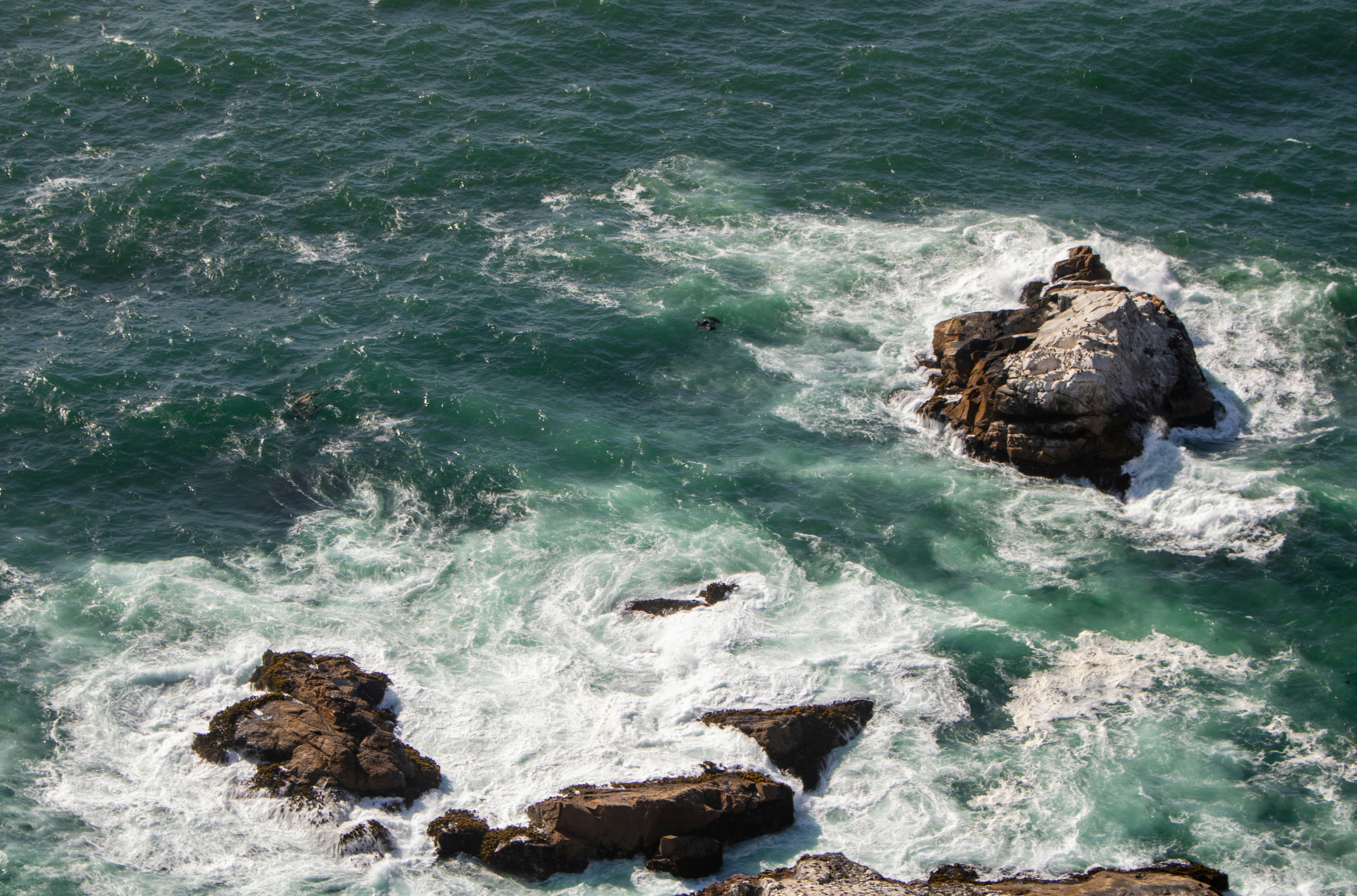 Photo by zoshuacolah