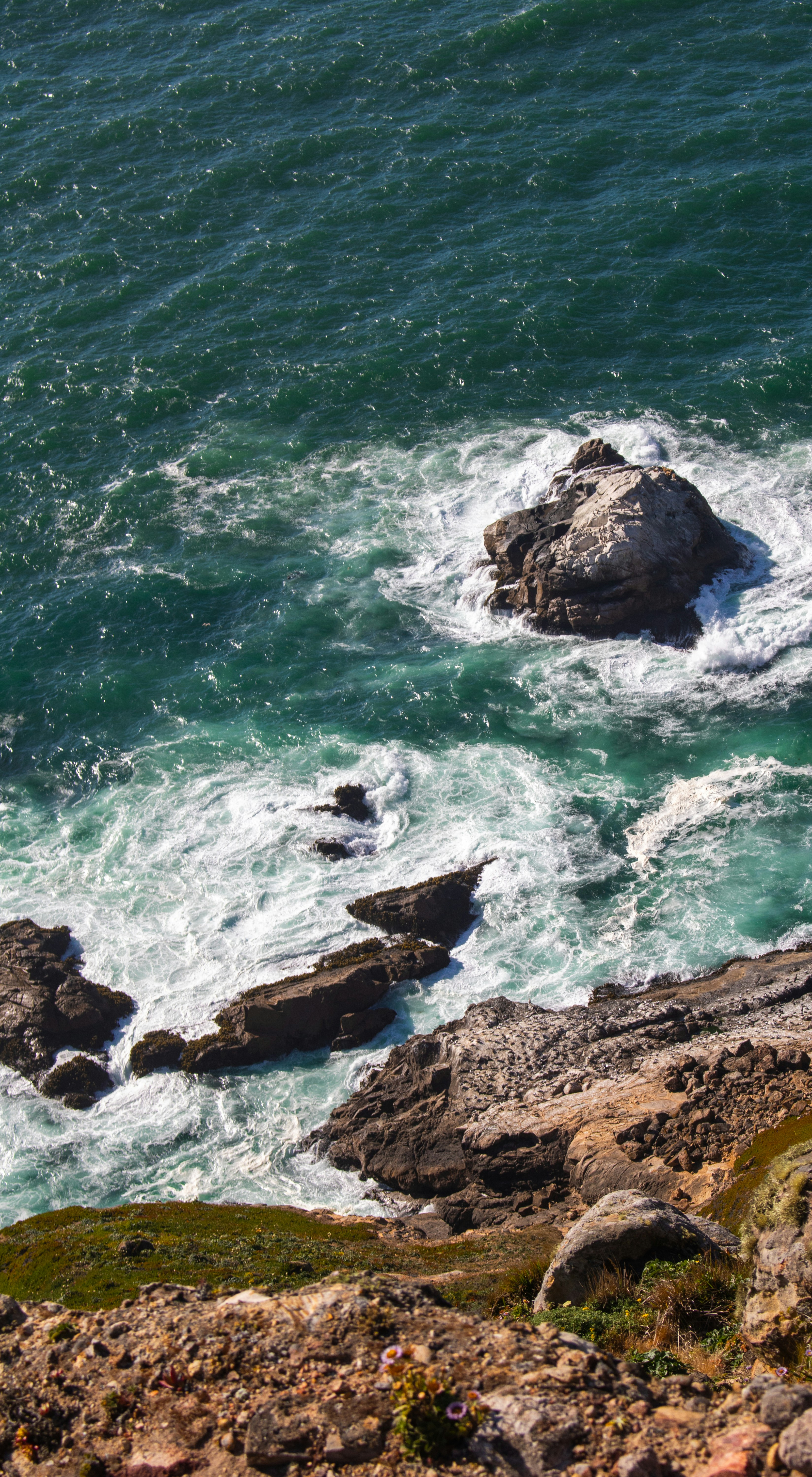 Photo by zoshuacolah