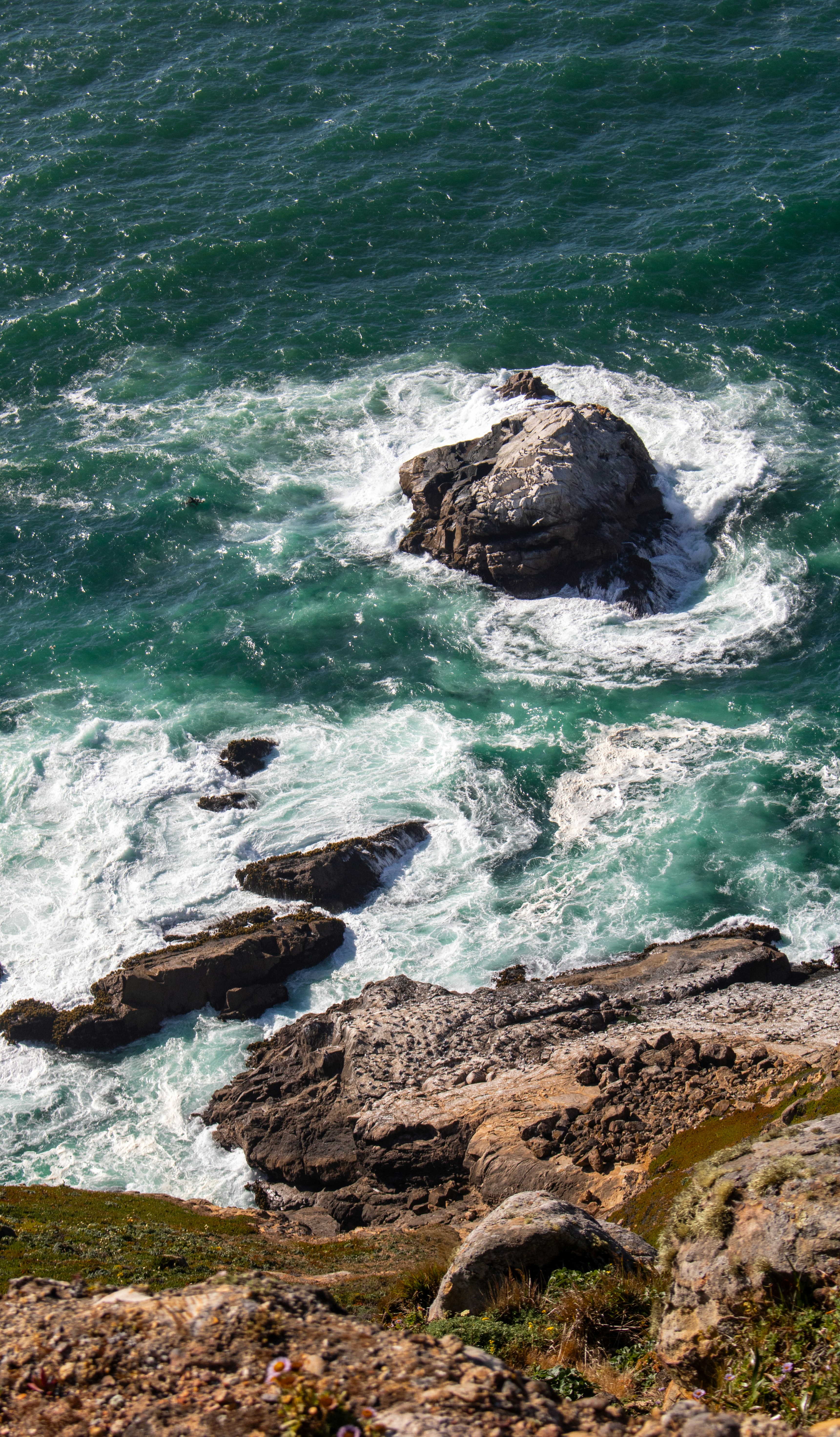 Photo by zoshuacolah