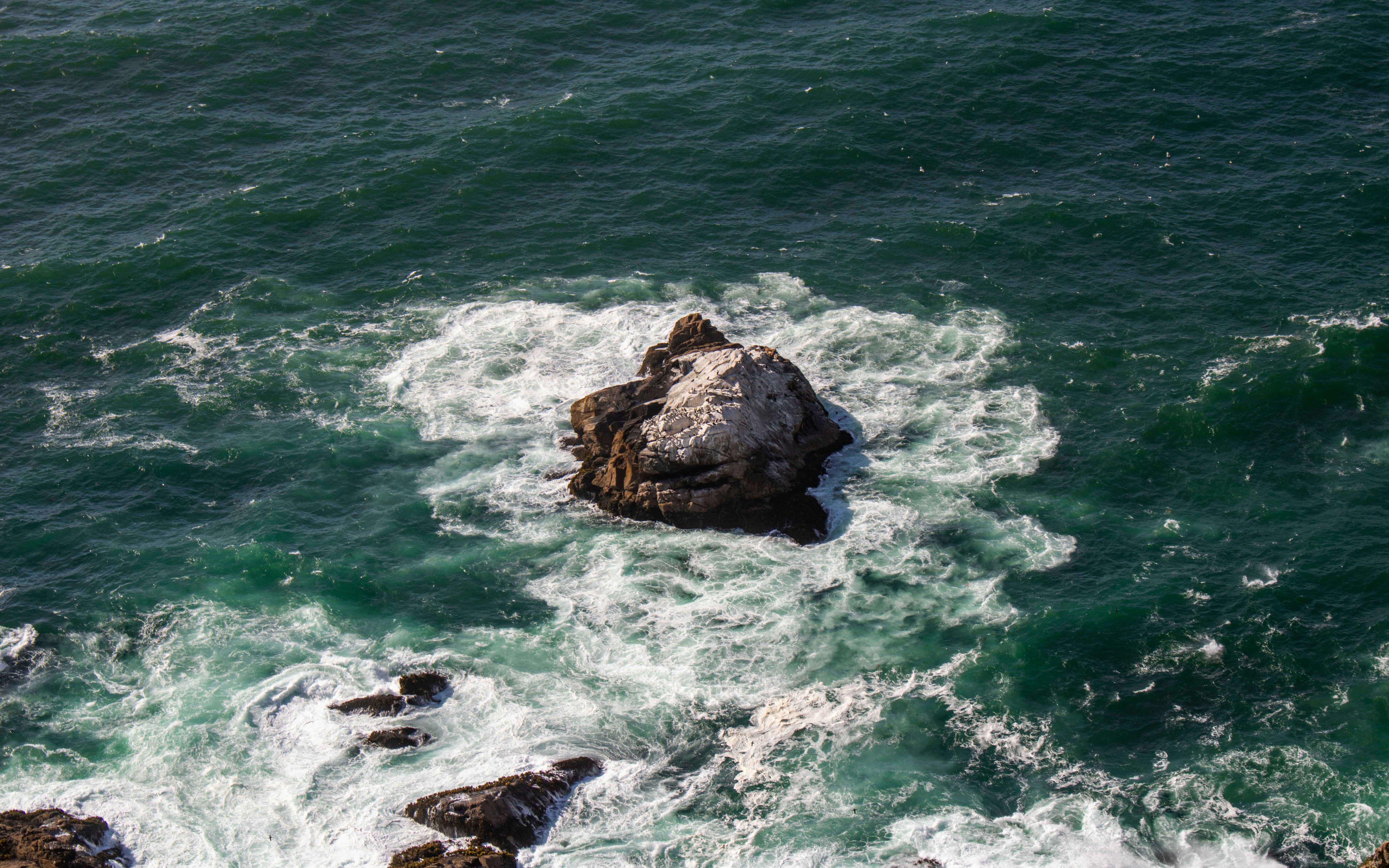 Photo by zoshuacolah