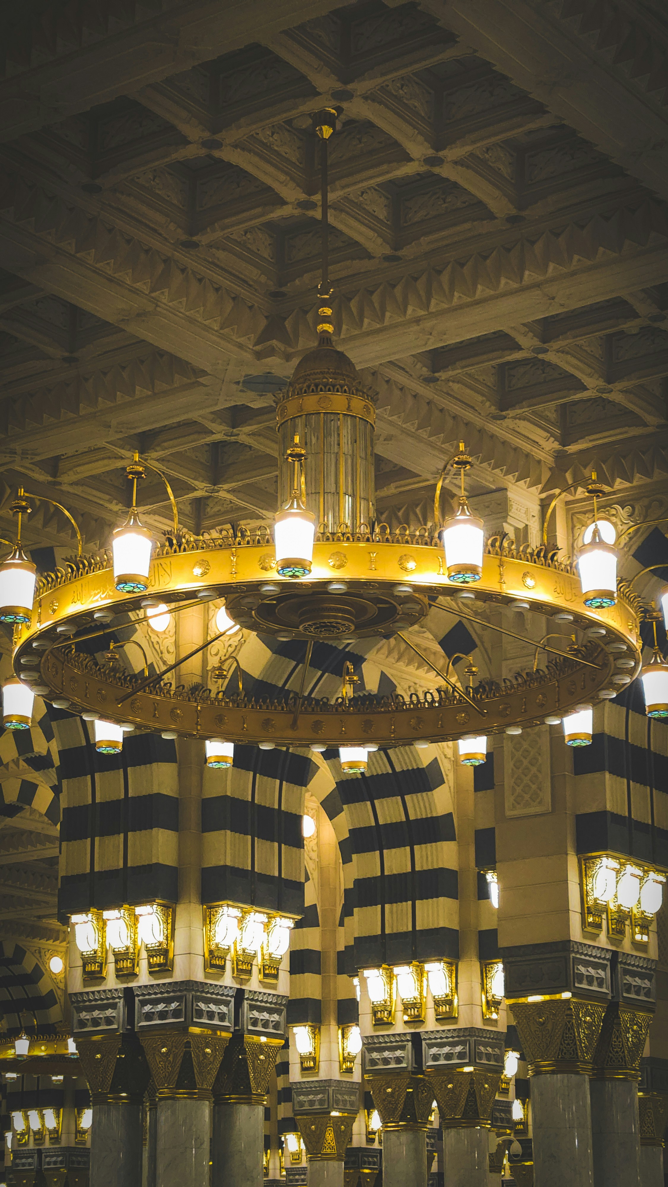 Photo by canismajoris