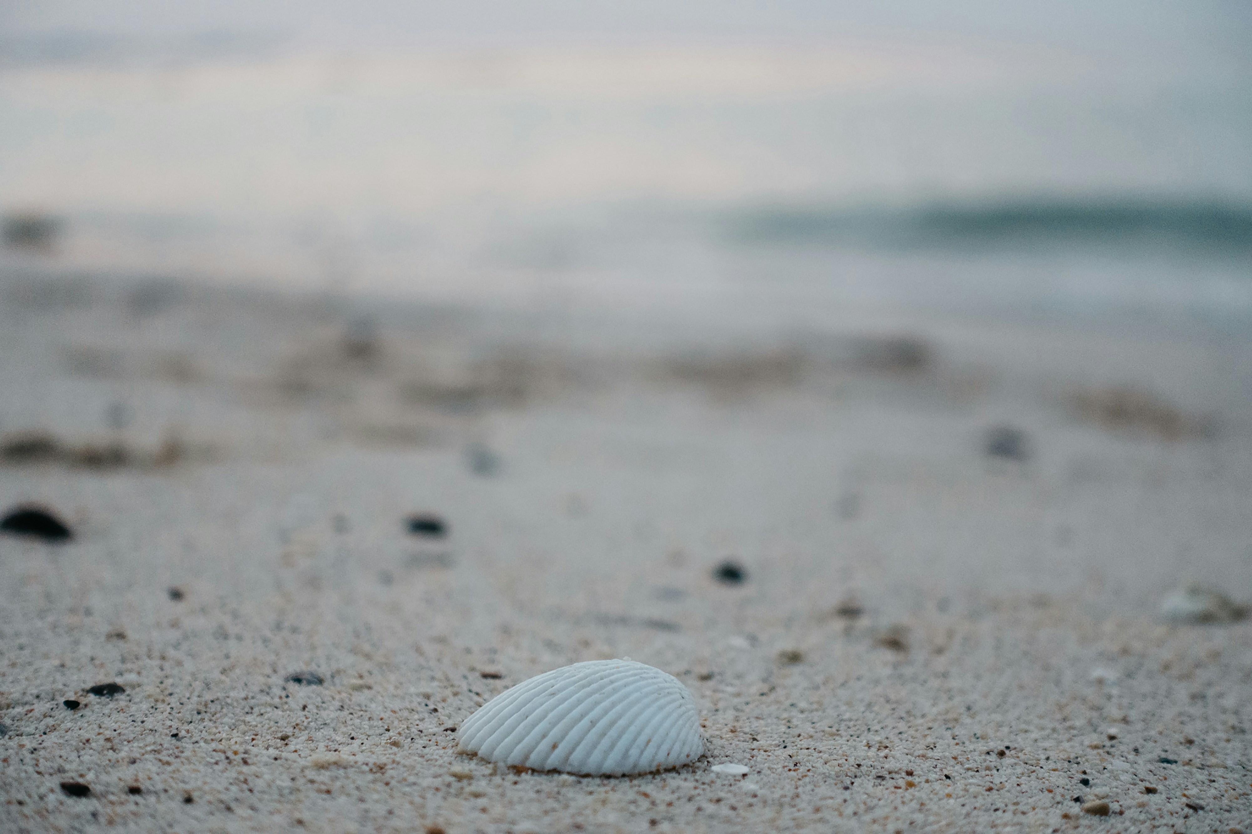 Photo by markuswinkler