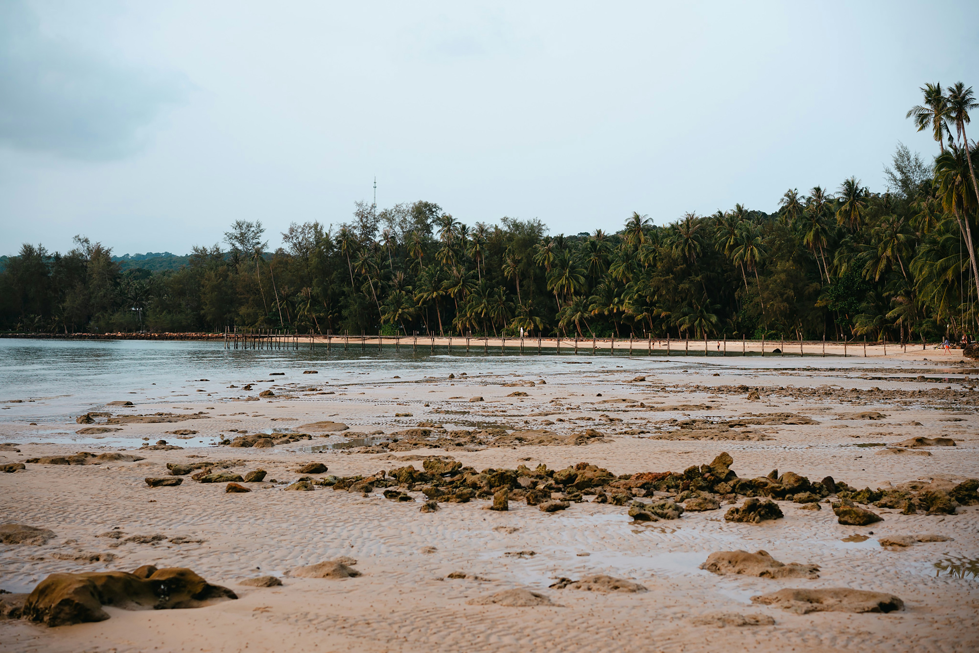 Photo by markuswinkler