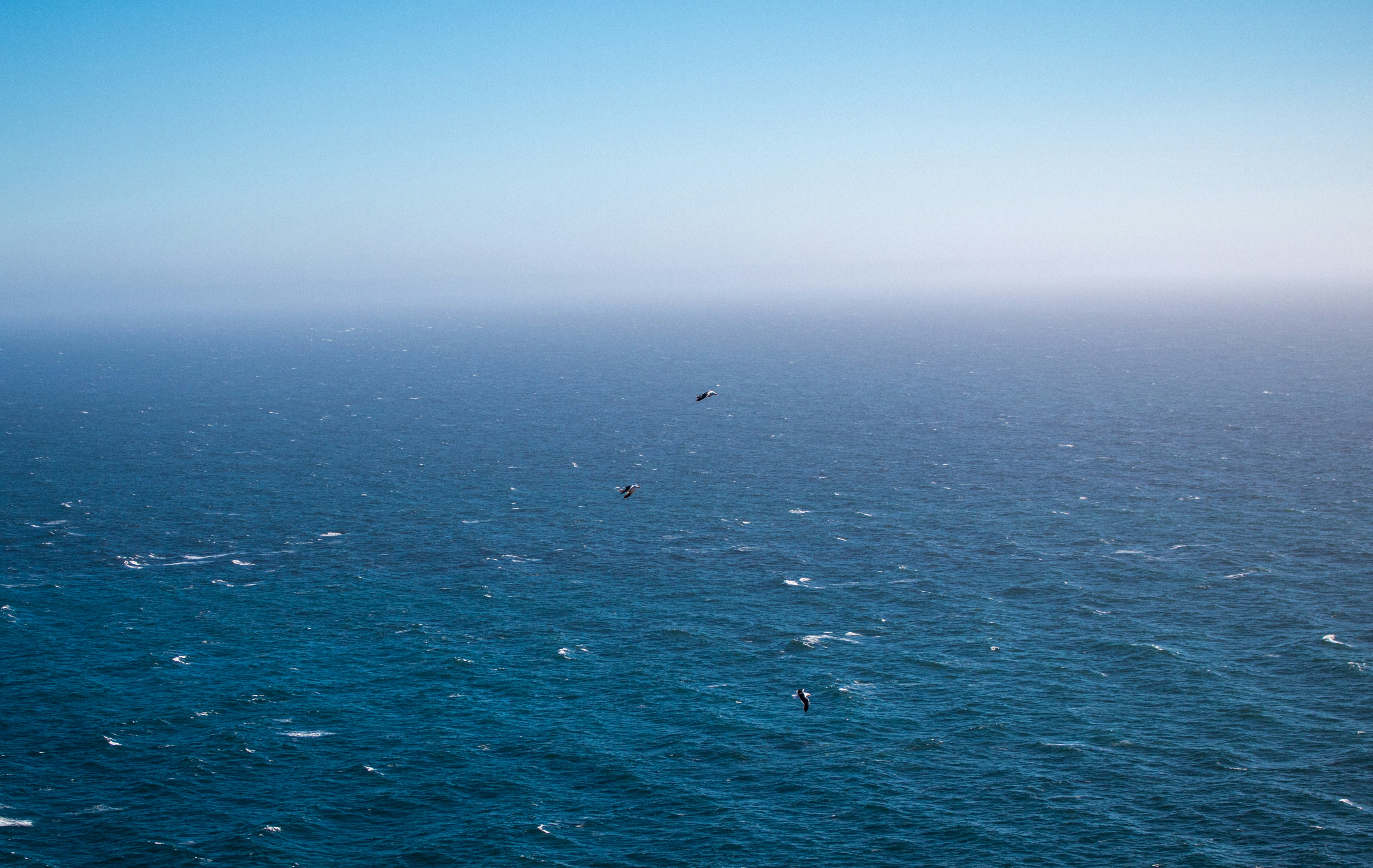 Photo by zoshuacolah