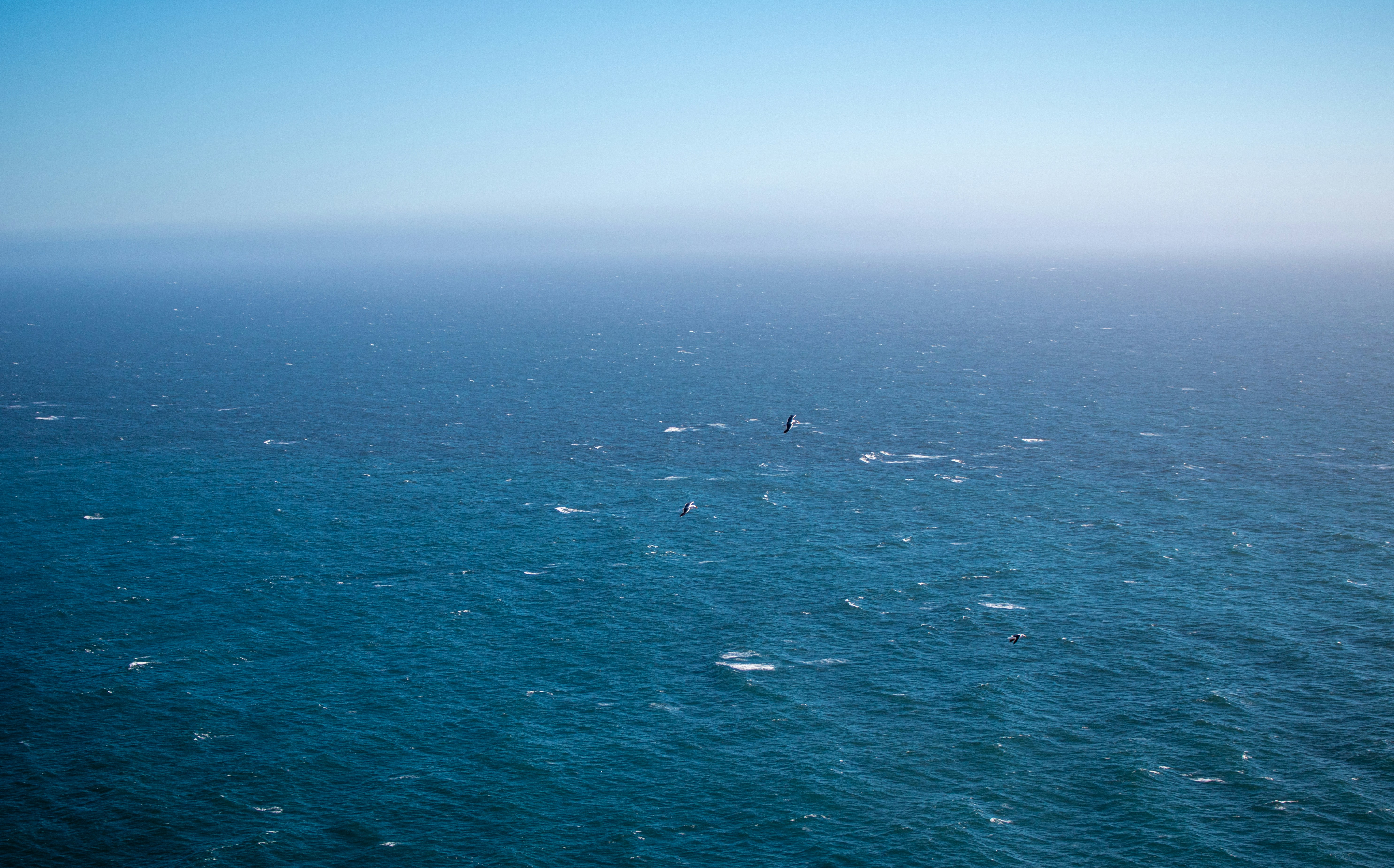 Photo by zoshuacolah