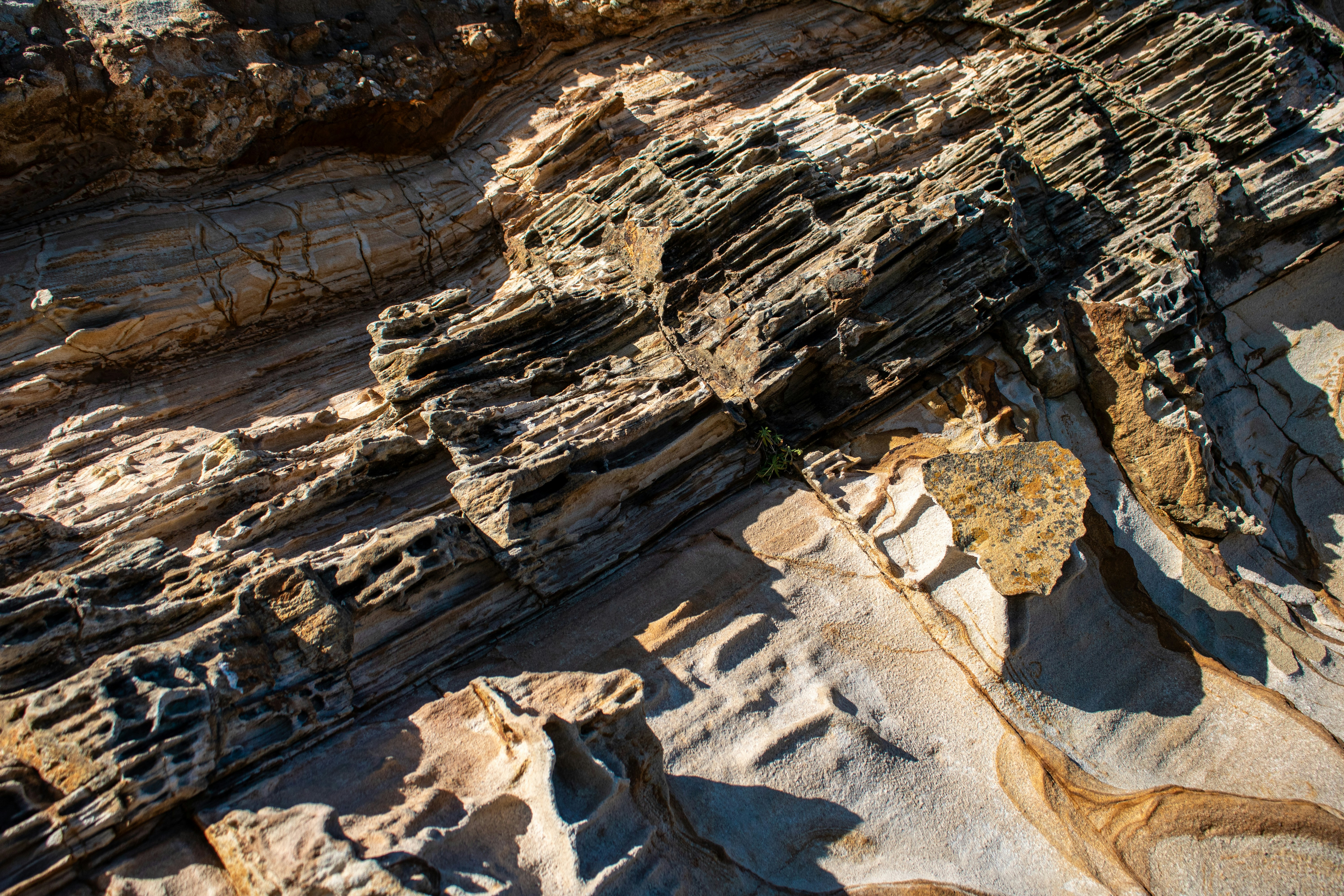 Photo by zoshuacolah