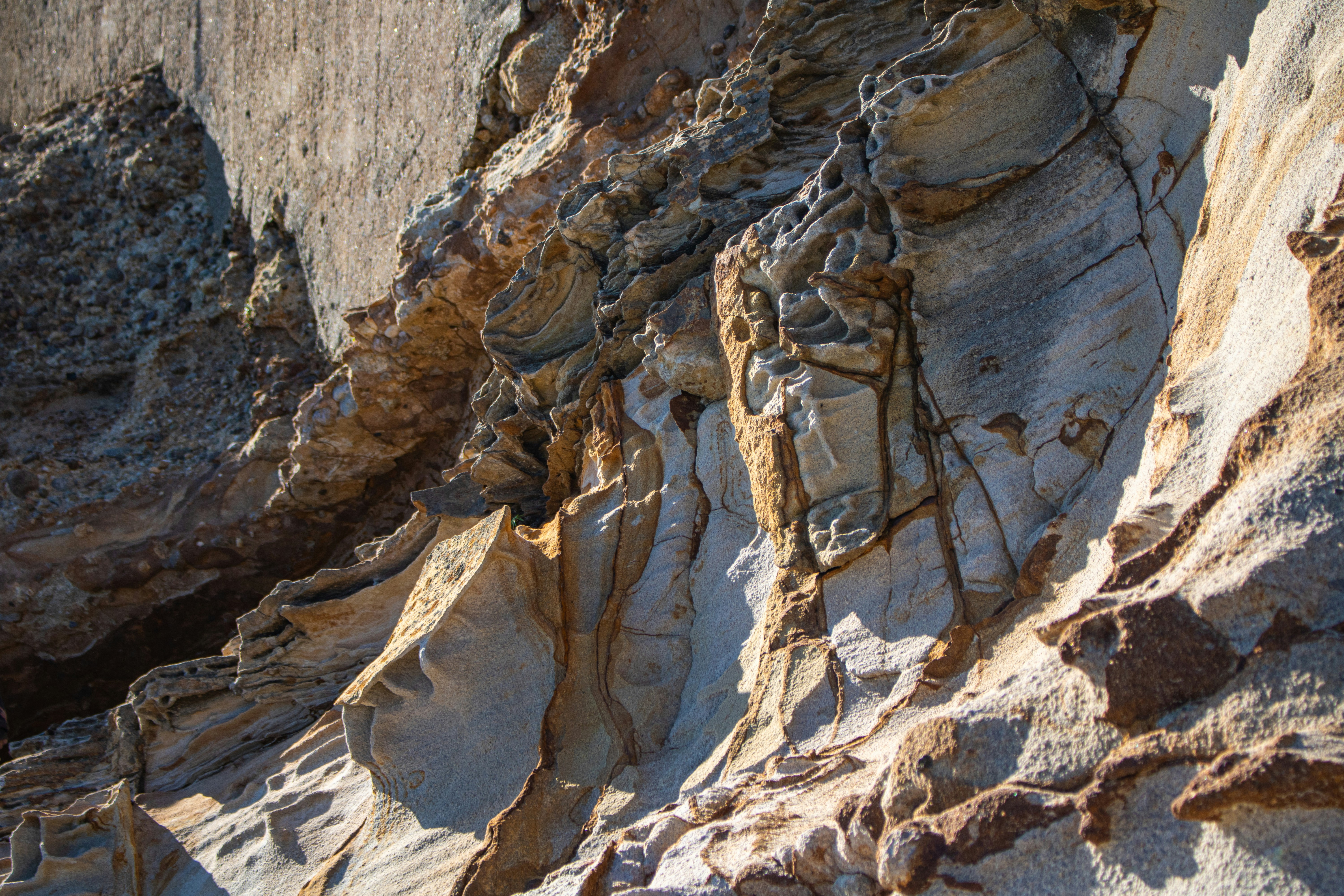 Photo by zoshuacolah