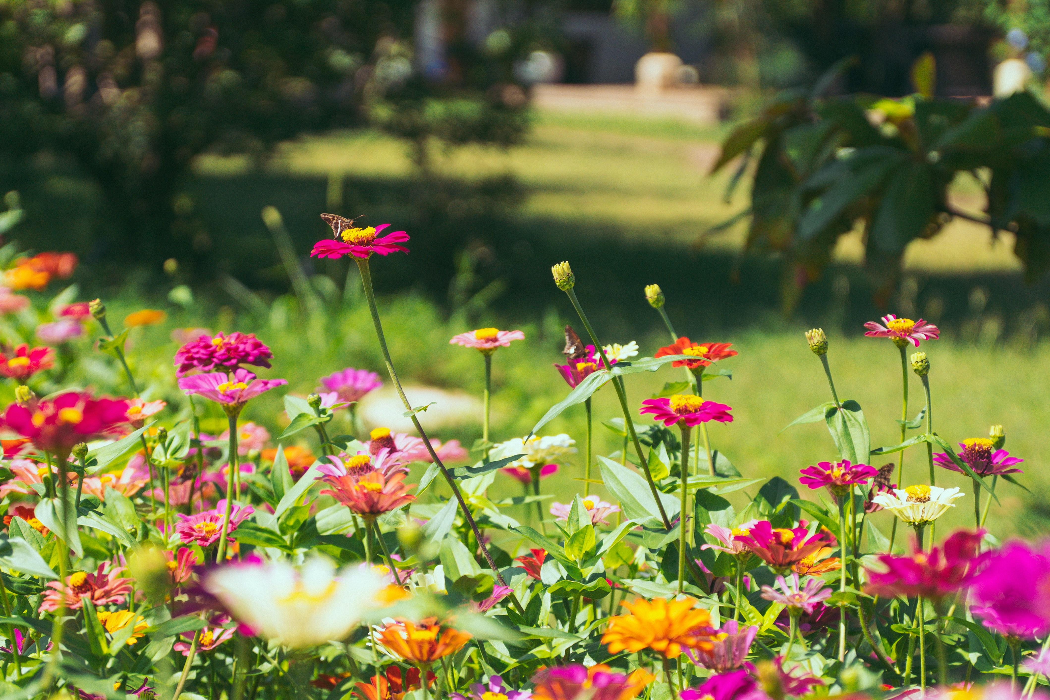 Photo by hectoremilio