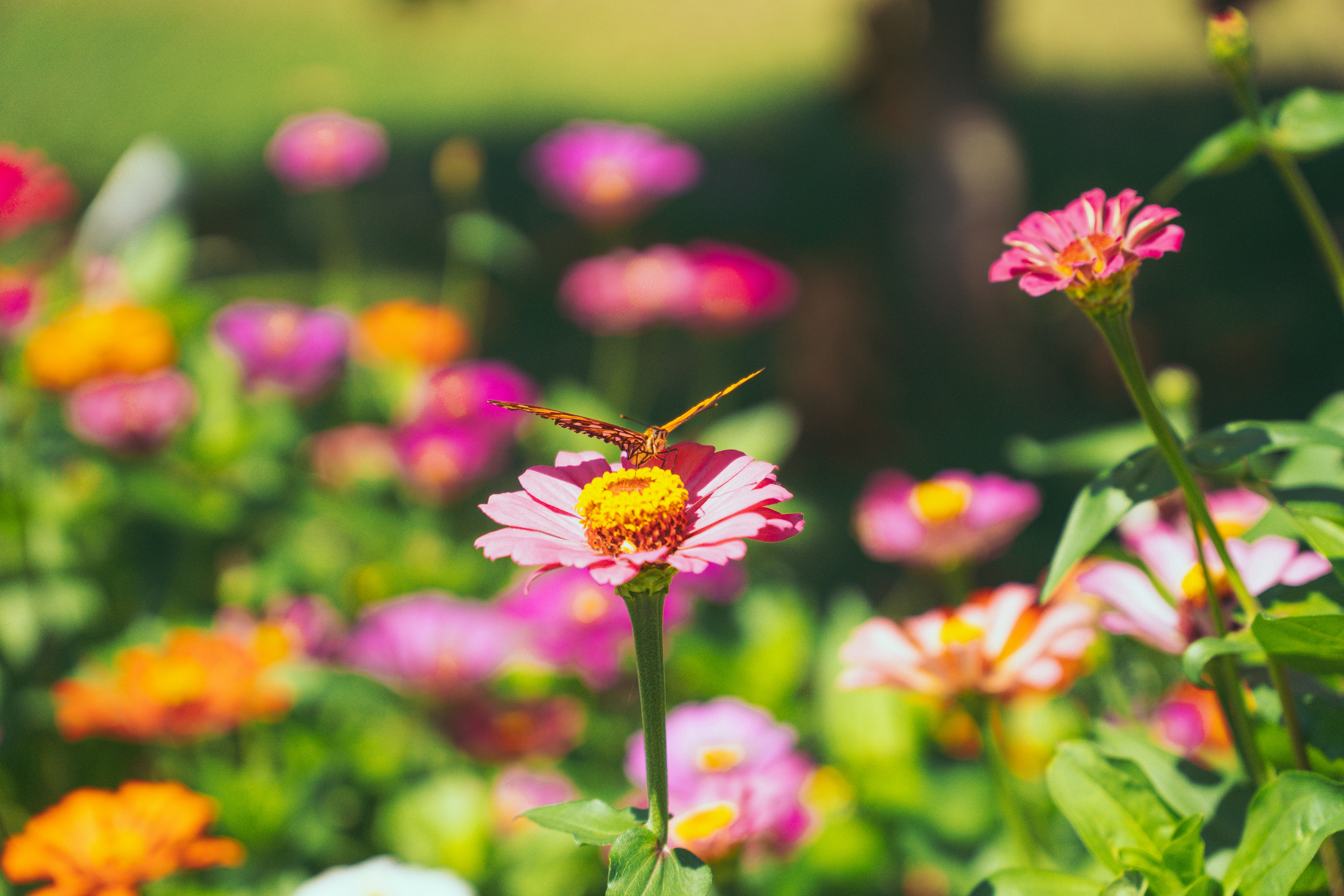 Photo by hectoremilio