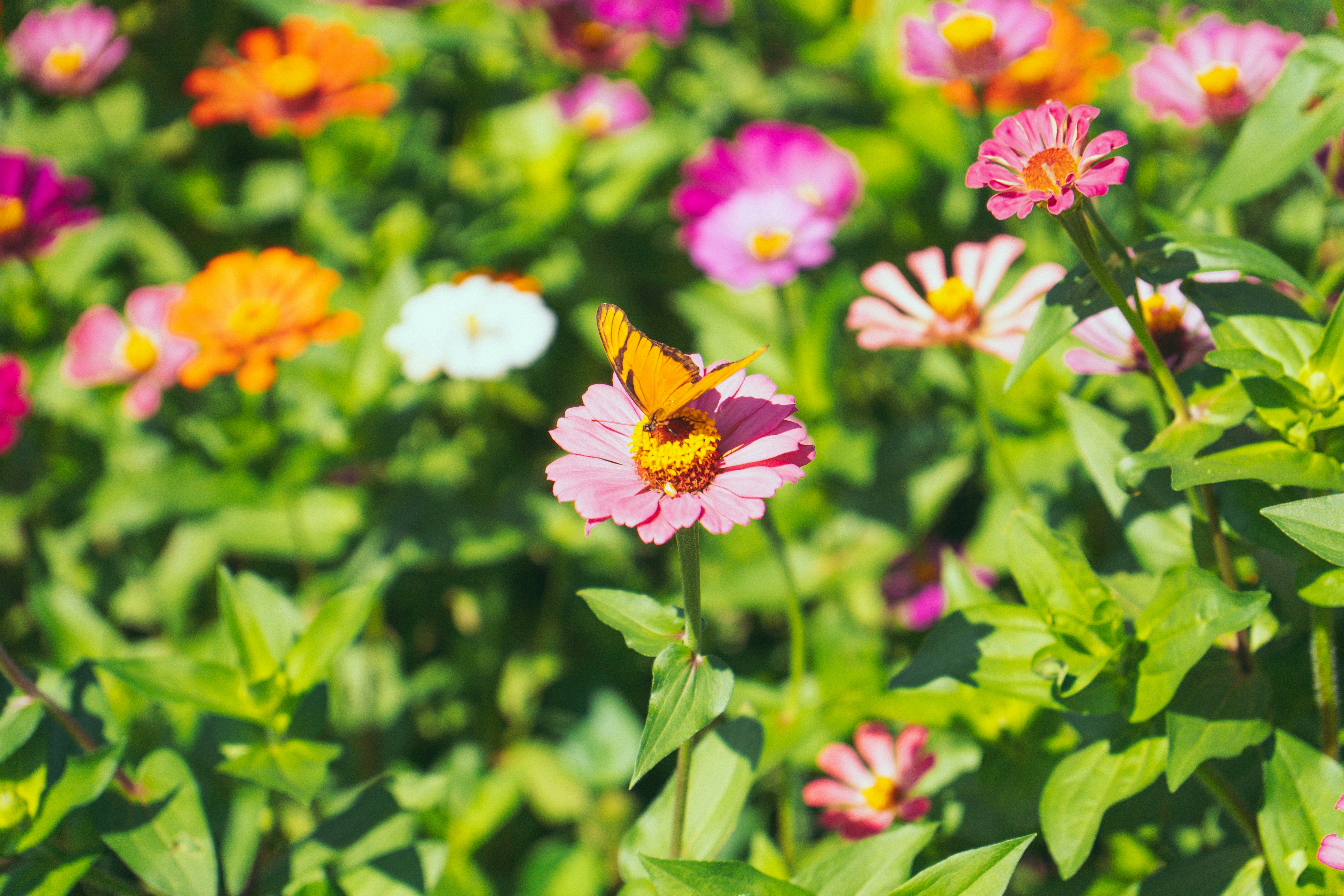 Photo by hectoremilio