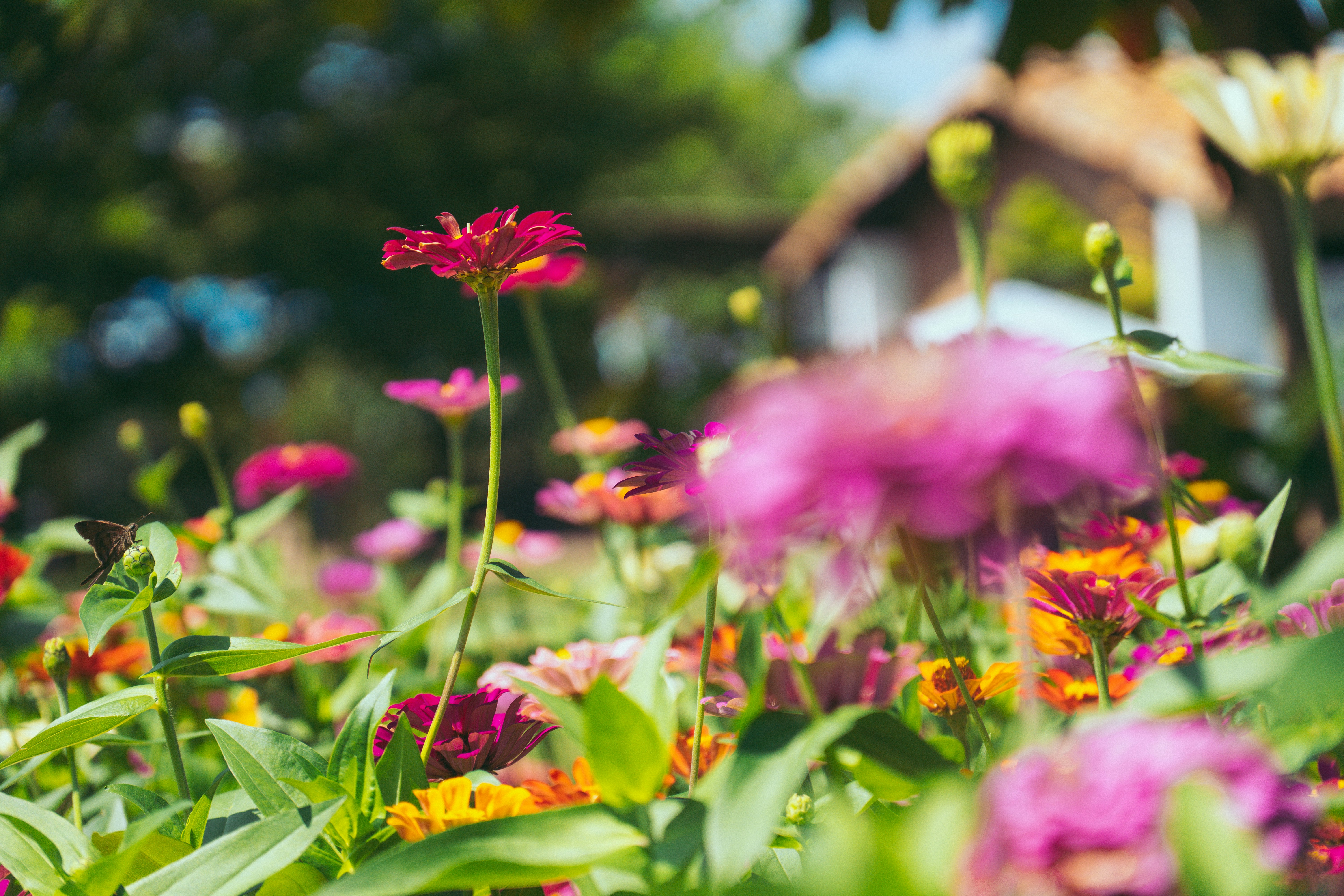 Photo by hectoremilio