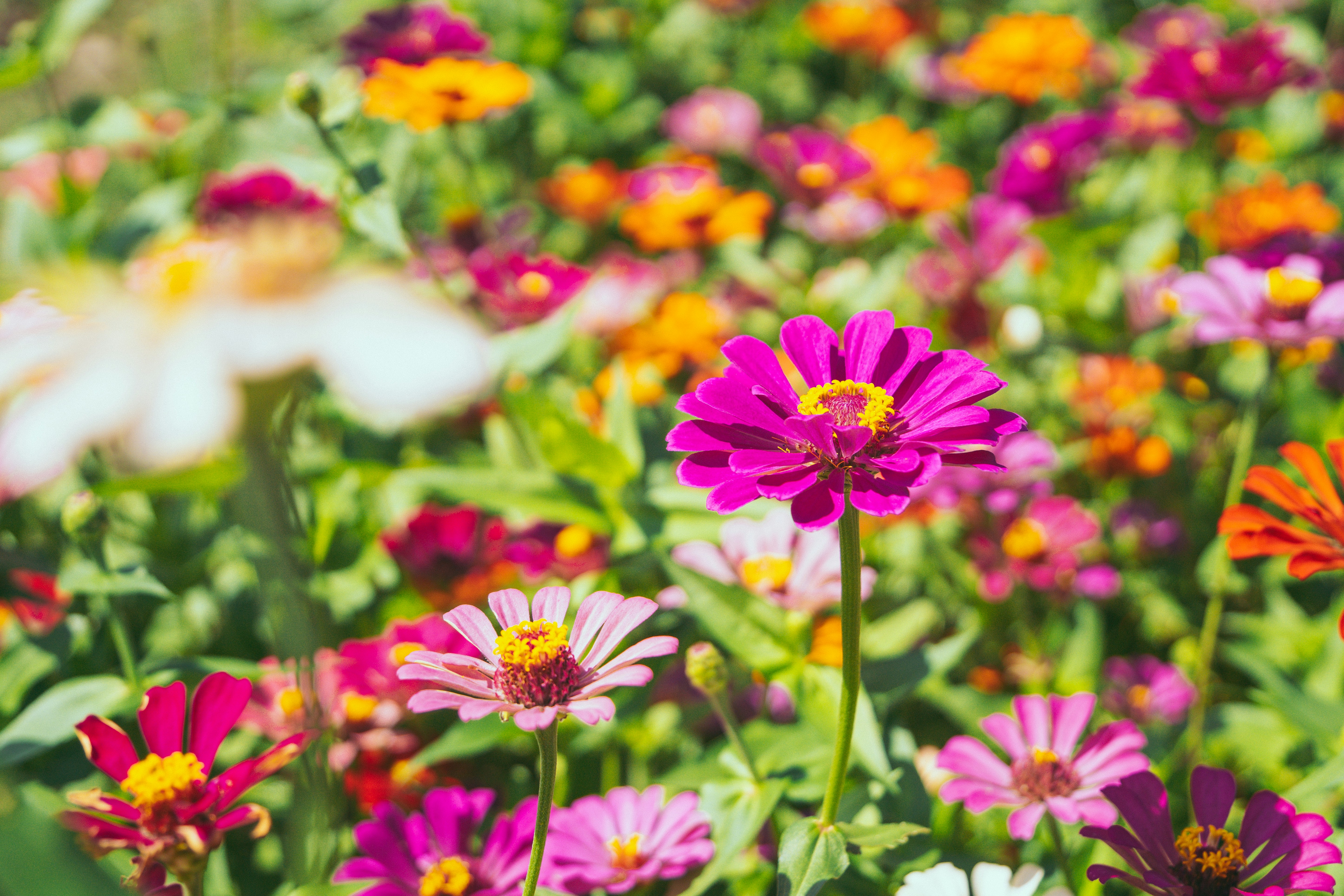 Photo by hectoremilio