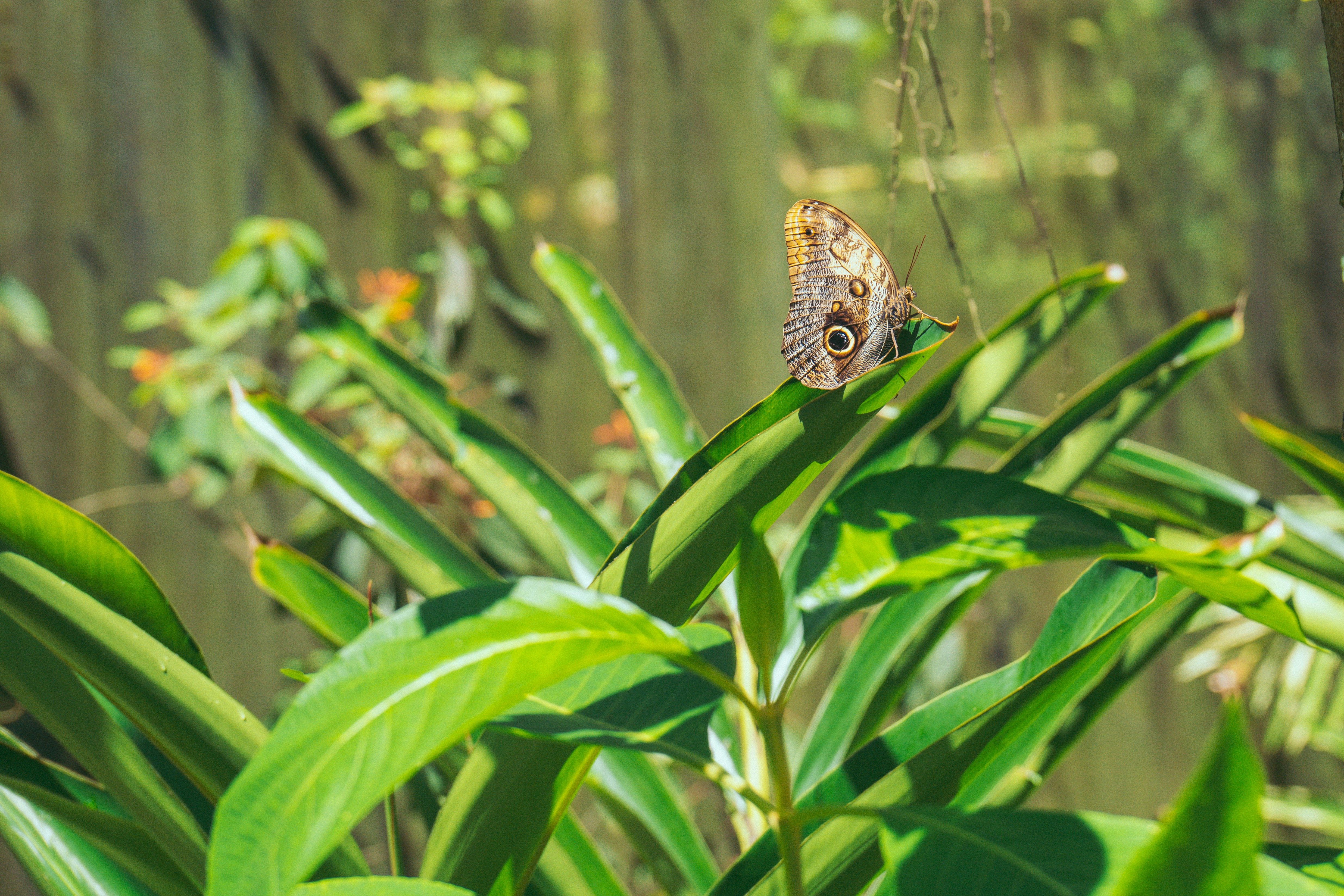 Photo by hectoremilio