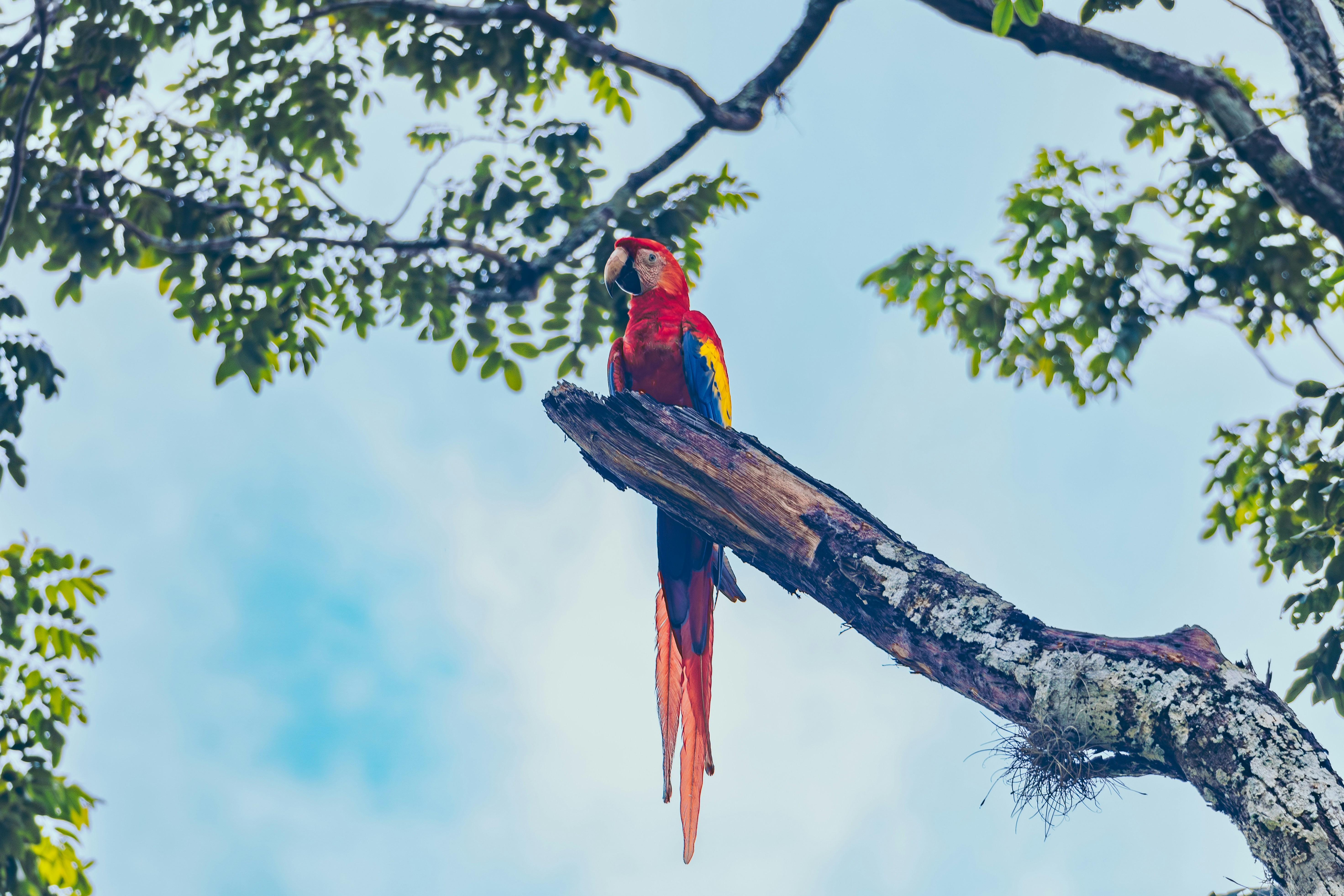 Photo by hectoremilio