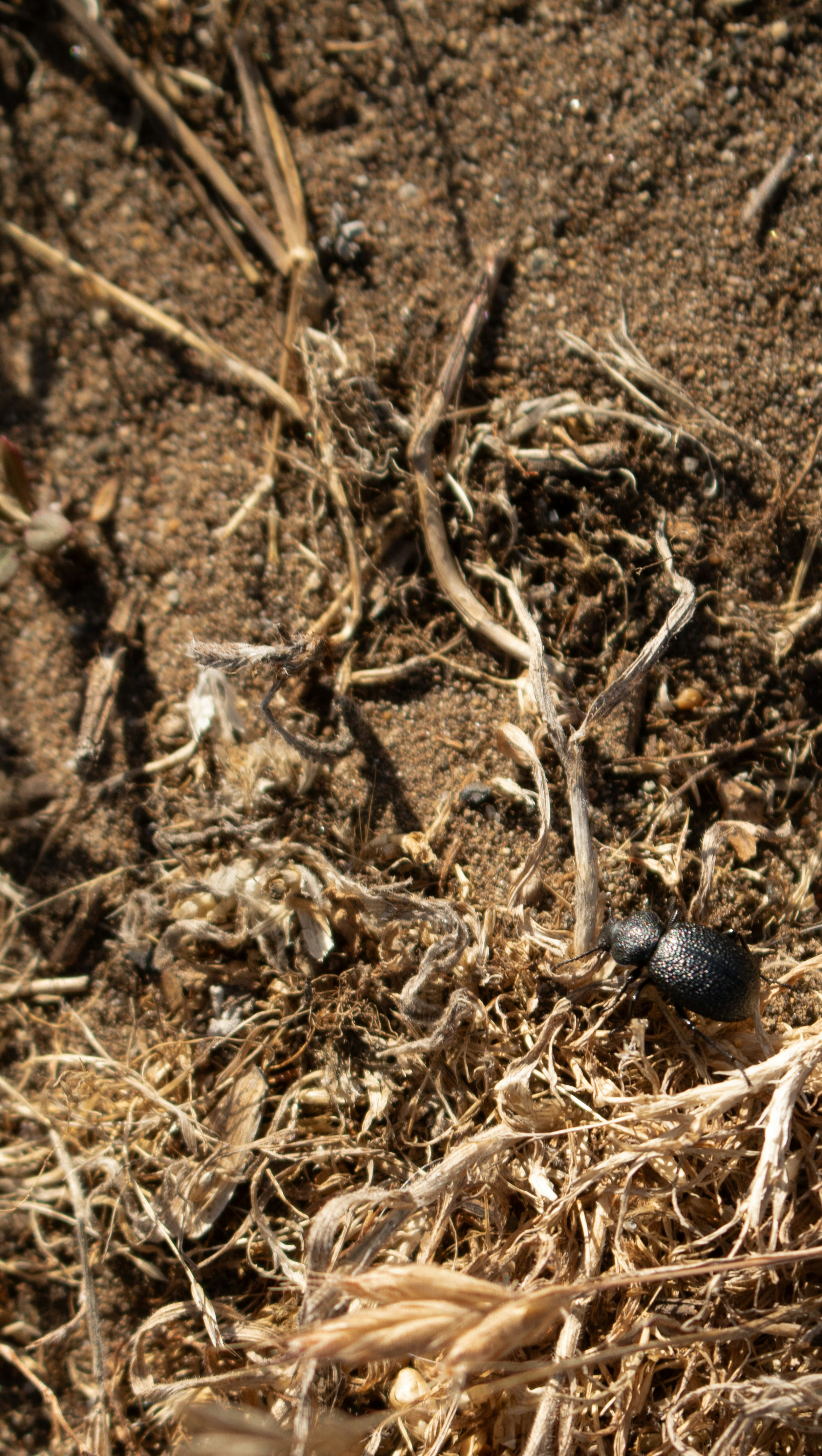 Photo by zoshuacolah