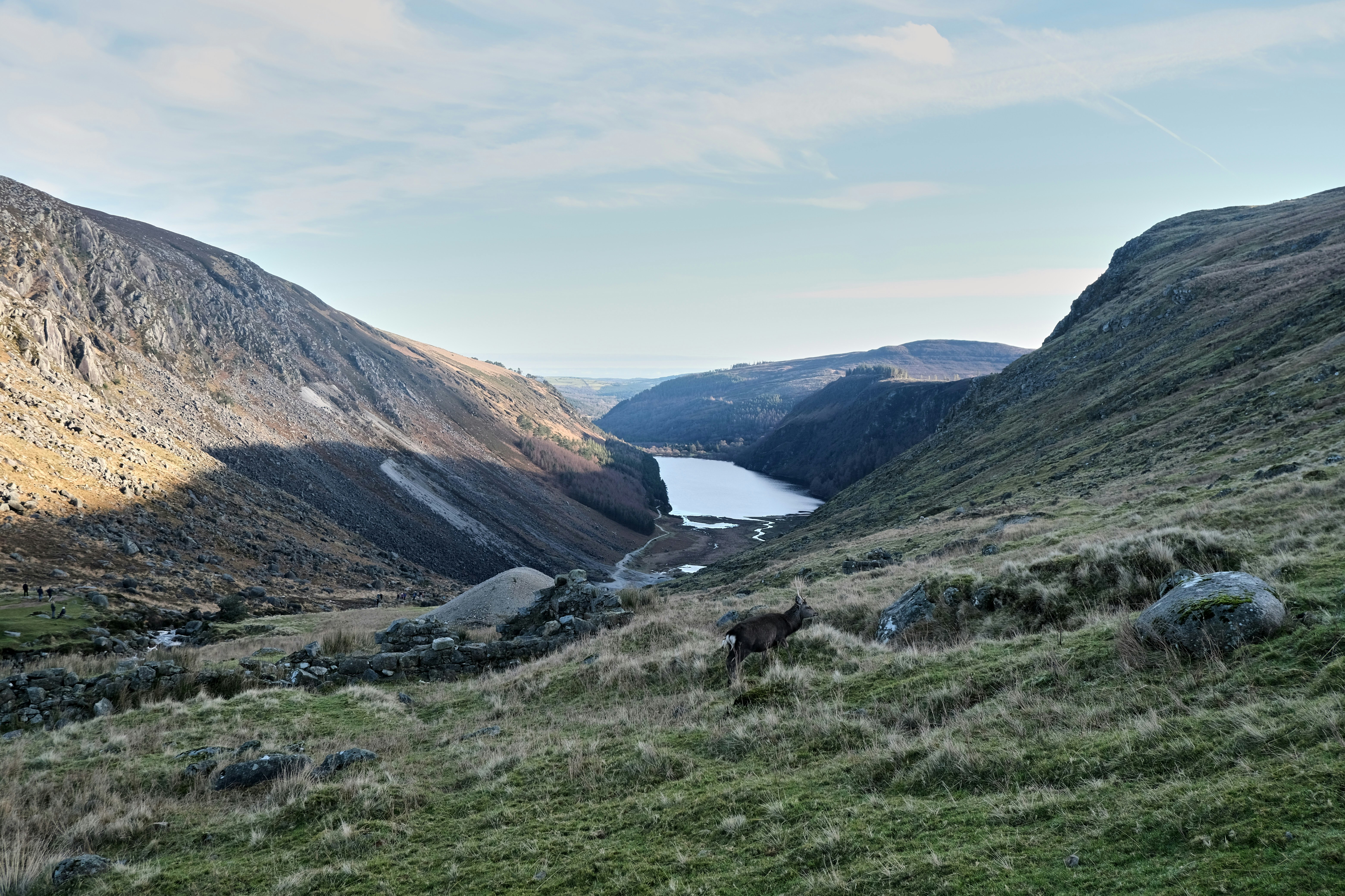 Une vue d’une vallée avec un lac au loin